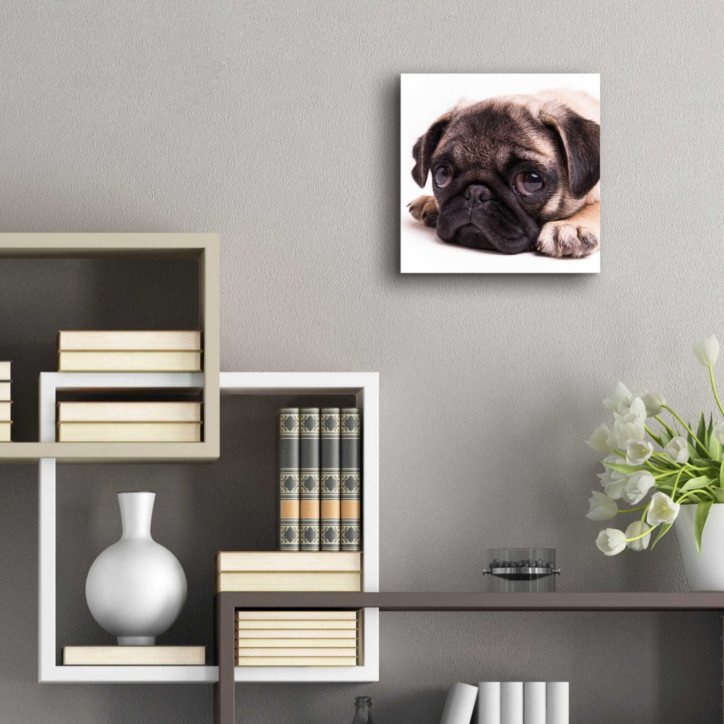 Epic Art 'Sad Sack Pug' by Edward M. Fielding, Acrylic Glass Wall Art,12x12