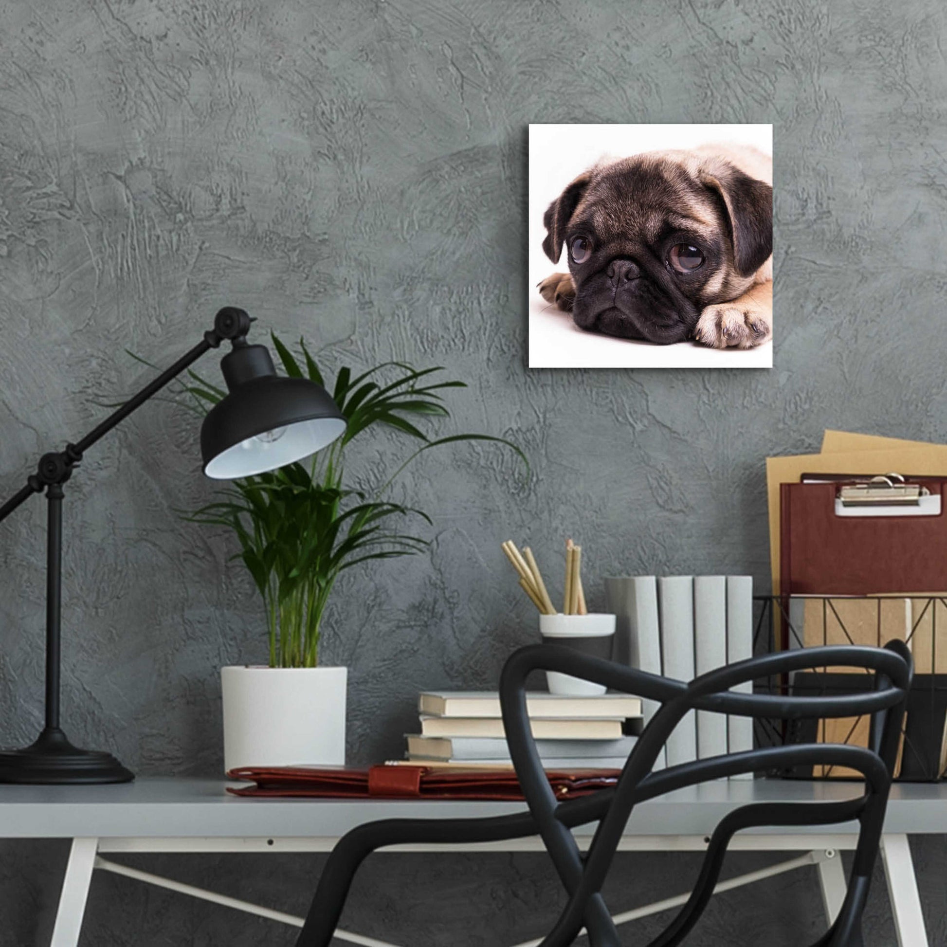 Epic Art 'Sad Sack Pug' by Edward M. Fielding, Acrylic Glass Wall Art,12x12