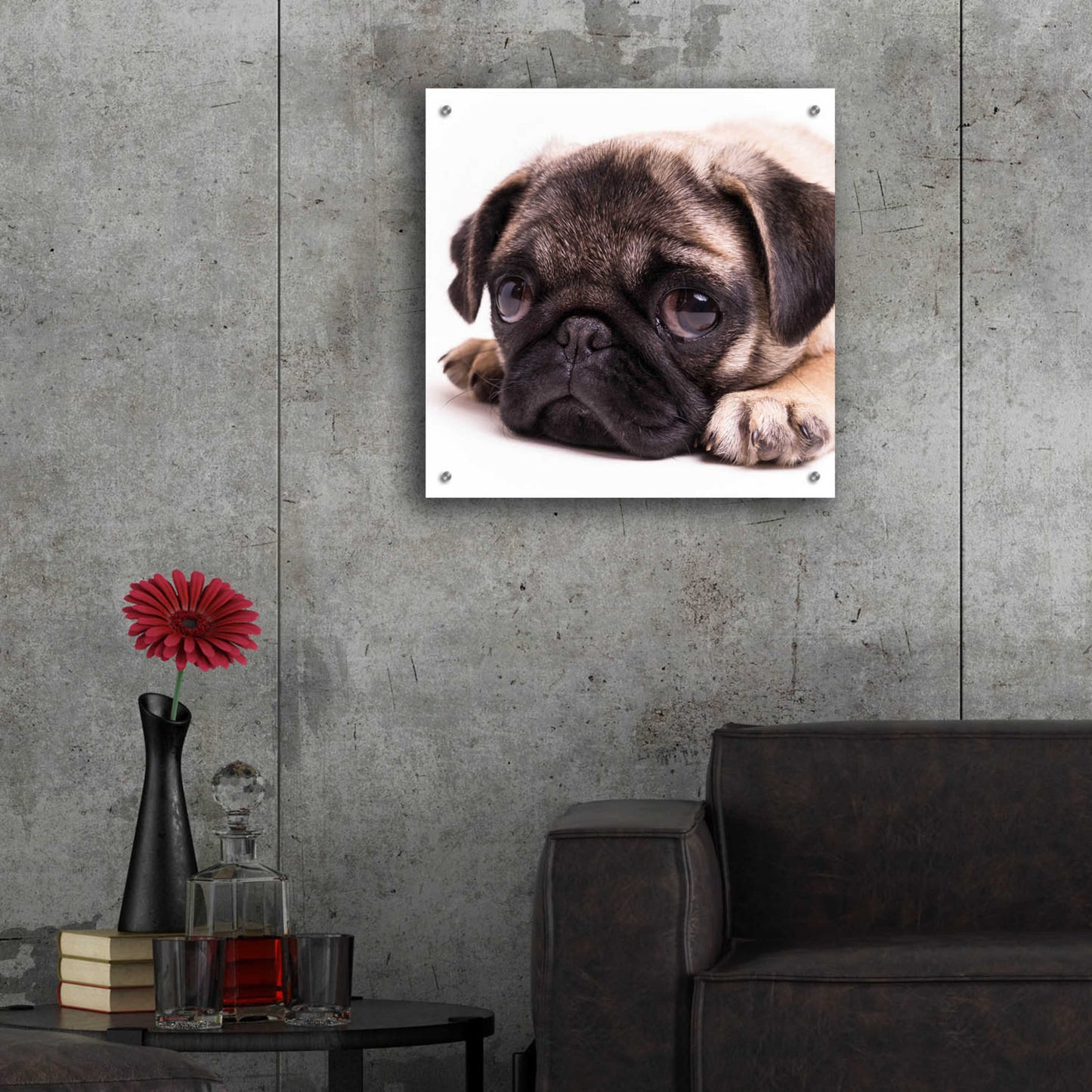 Epic Art 'Sad Sack Pug' by Edward M. Fielding, Acrylic Glass Wall Art,24x24