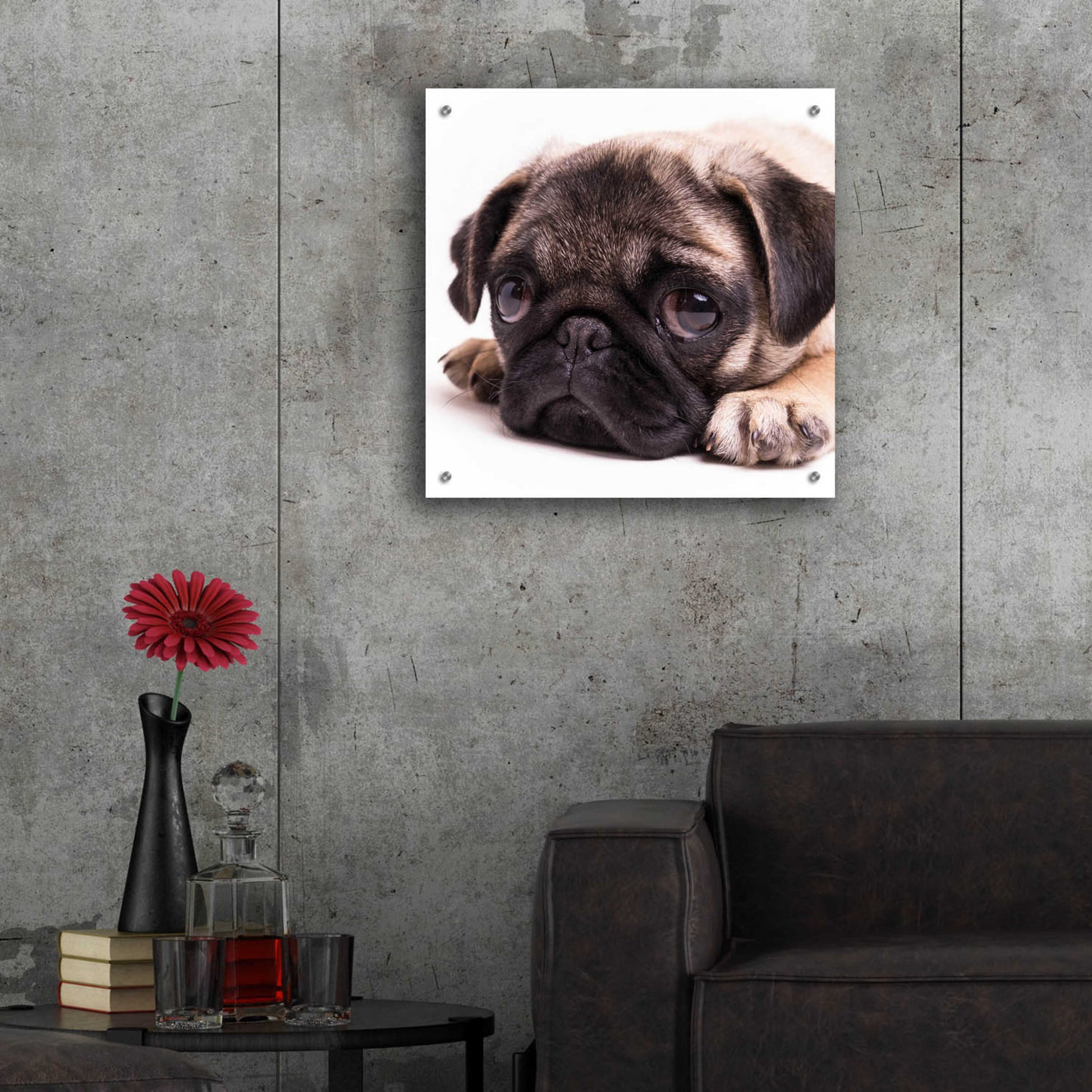 Epic Art 'Sad Sack Pug' by Edward M. Fielding, Acrylic Glass Wall Art,24x24