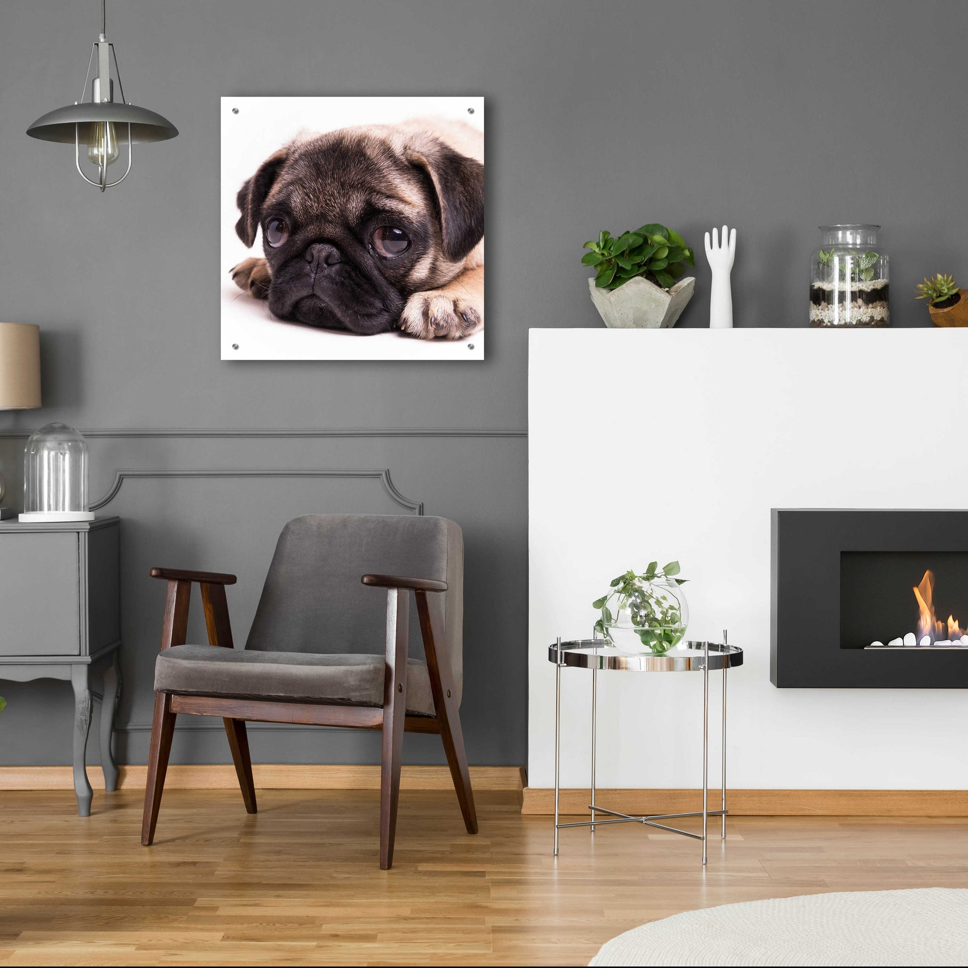 Epic Art 'Sad Sack Pug' by Edward M. Fielding, Acrylic Glass Wall Art,24x24