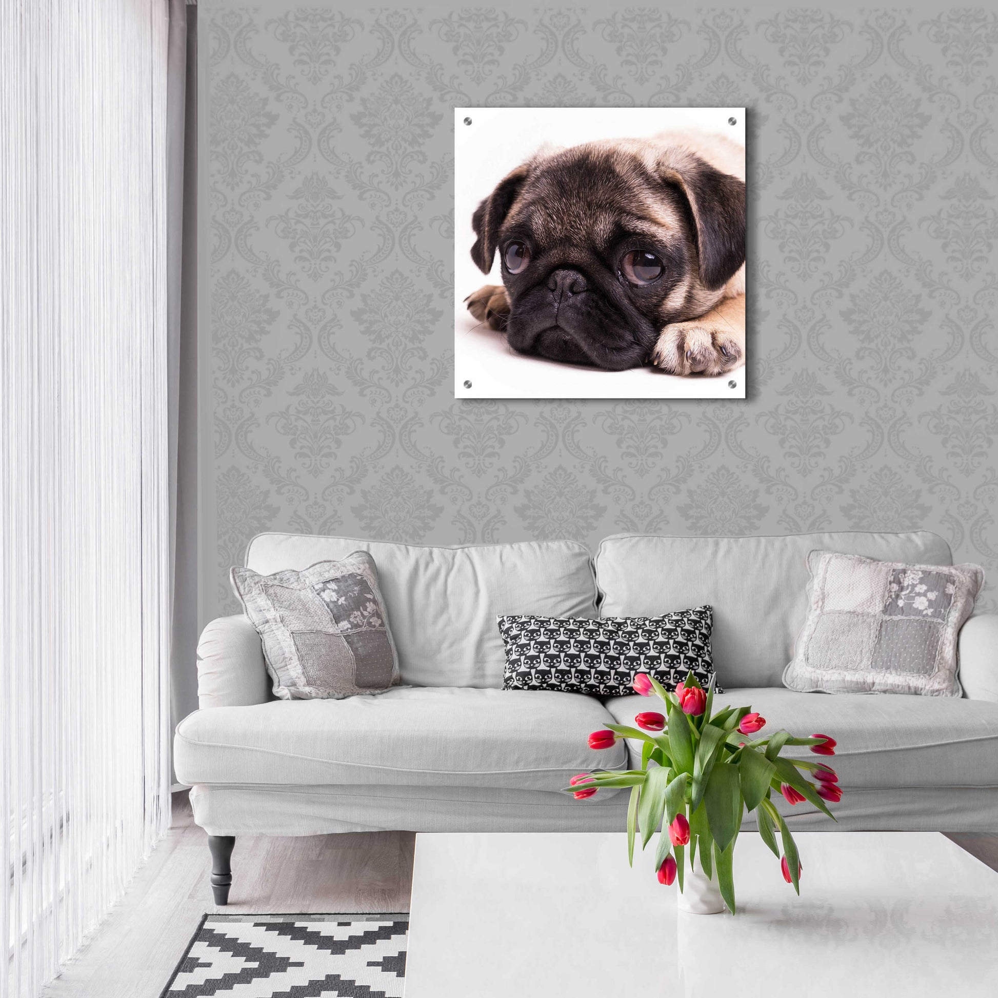 Epic Art 'Sad Sack Pug' by Edward M. Fielding, Acrylic Glass Wall Art,24x24