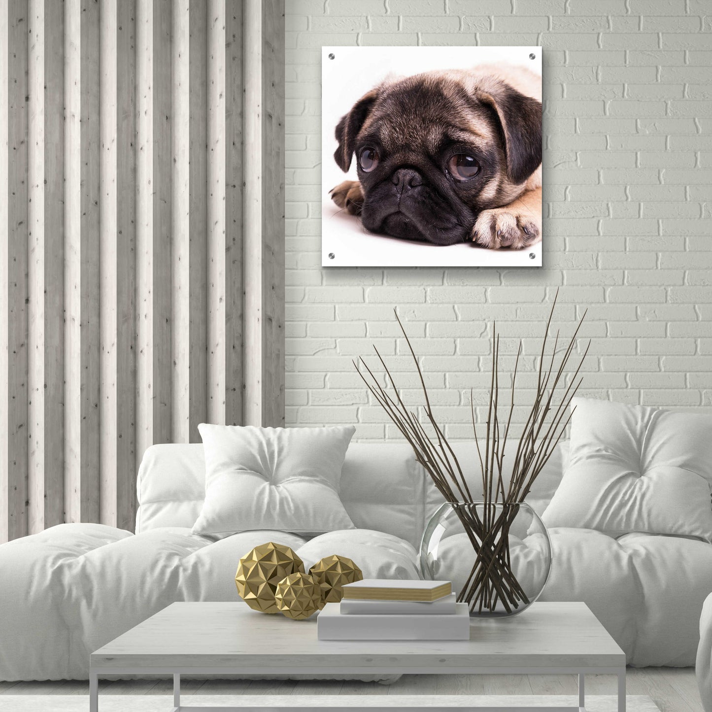 Epic Art 'Sad Sack Pug' by Edward M. Fielding, Acrylic Glass Wall Art,24x24