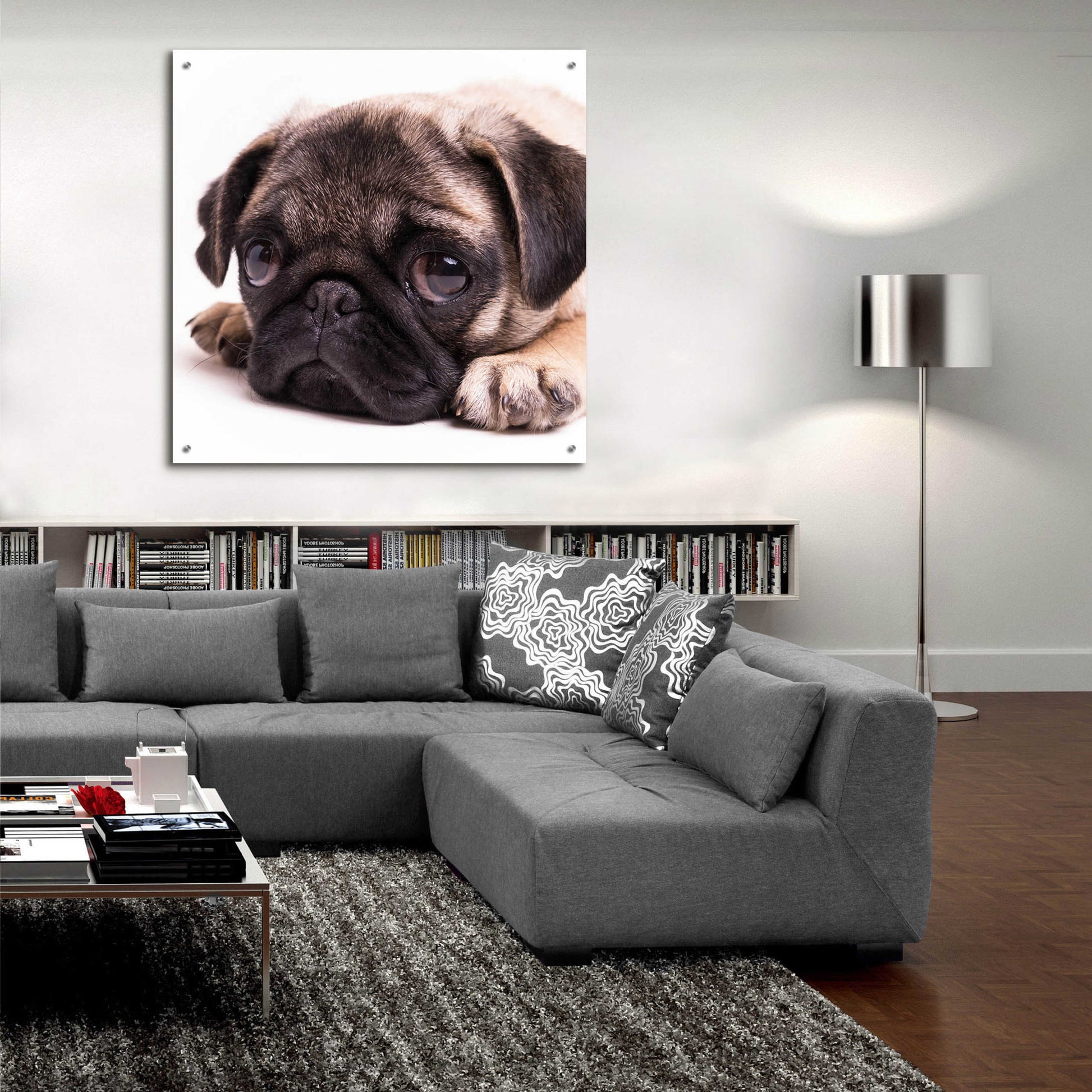 Epic Art 'Sad Sack Pug' by Edward M. Fielding, Acrylic Glass Wall Art,36x36