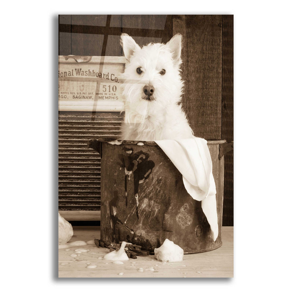 Epic Art 'Vintage Wash Day' by Edward M. Fielding, Acrylic Glass Wall Art