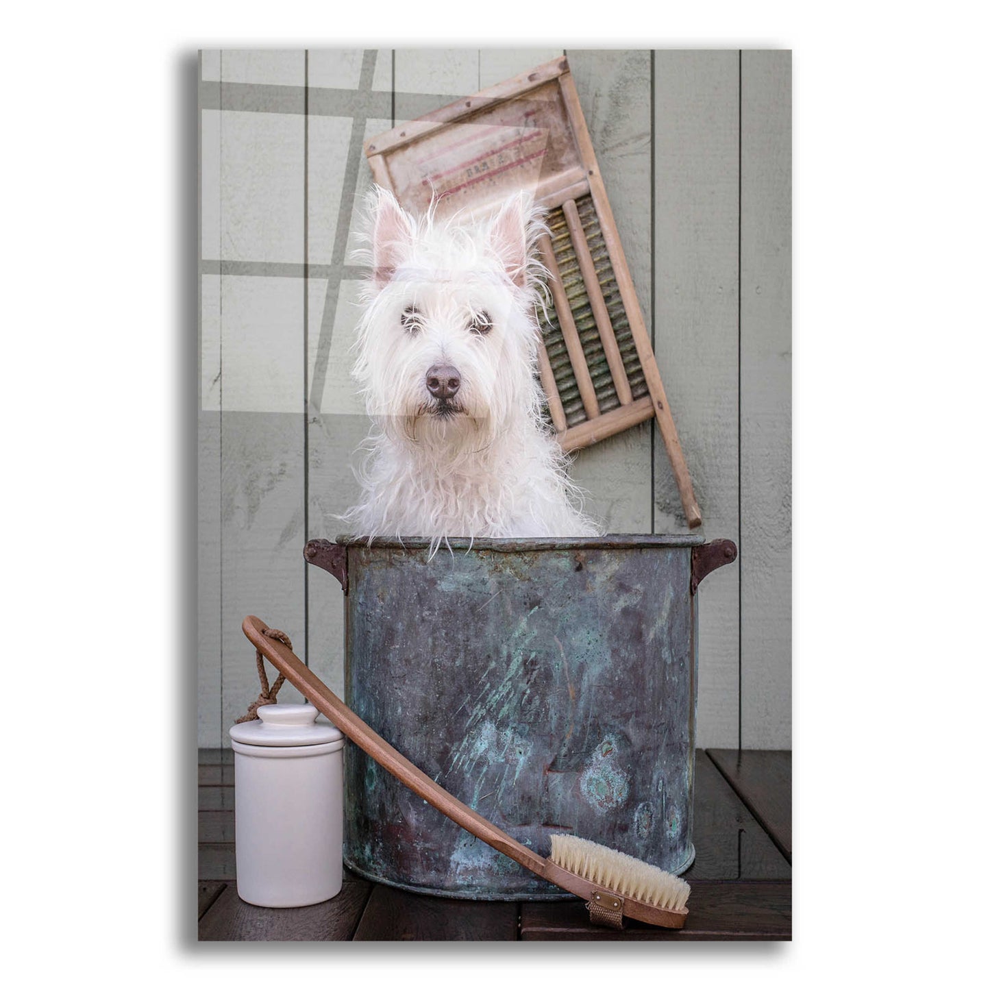 Epic Art 'Washing the Dog' by Edward M. Fielding, Acrylic Glass Wall Art,12x16