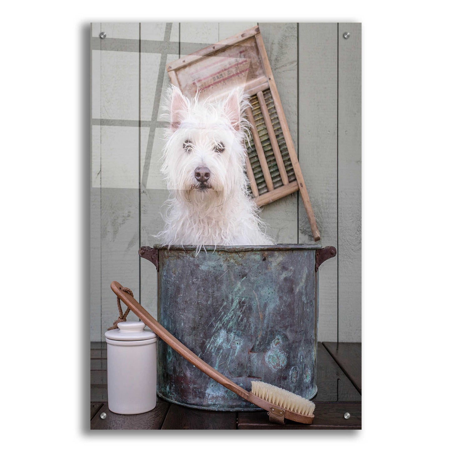 Epic Art 'Washing the Dog' by Edward M. Fielding, Acrylic Glass Wall Art,24x36