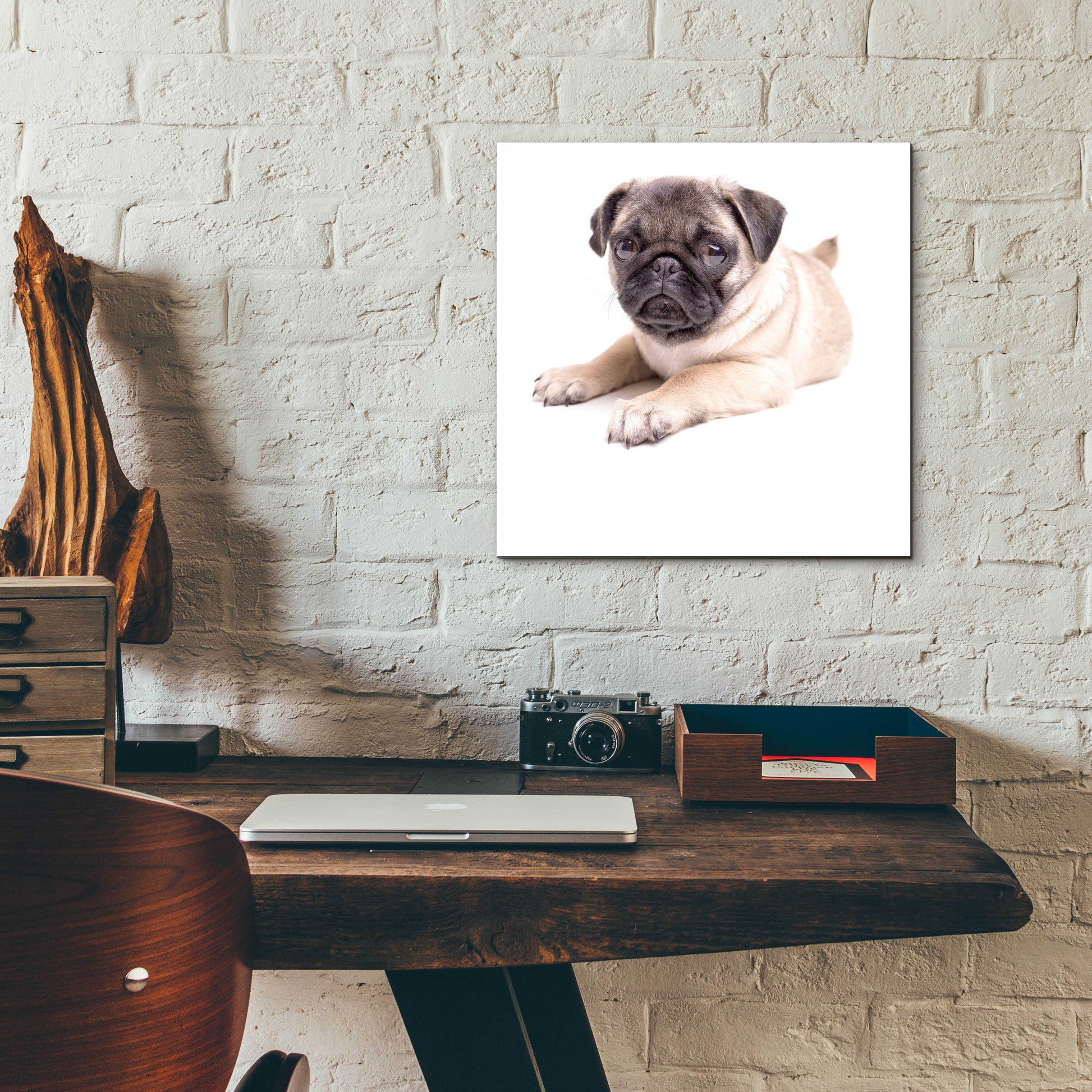 Epic Art 'Cute Pug Puppy' by Edward M. Fielding, Acrylic Glass Wall Art,12x12