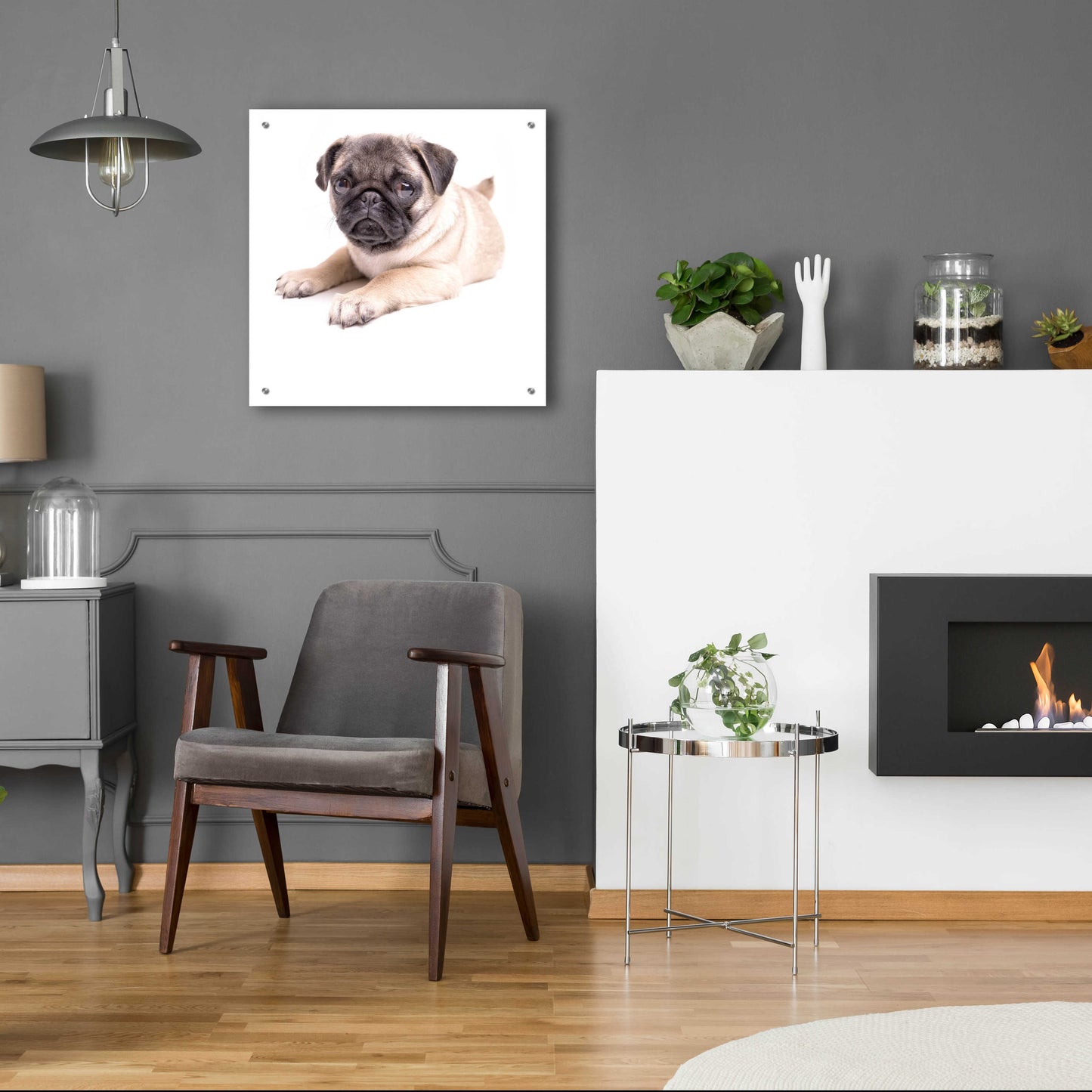 Epic Art 'Cute Pug Puppy' by Edward M. Fielding, Acrylic Glass Wall Art,24x24