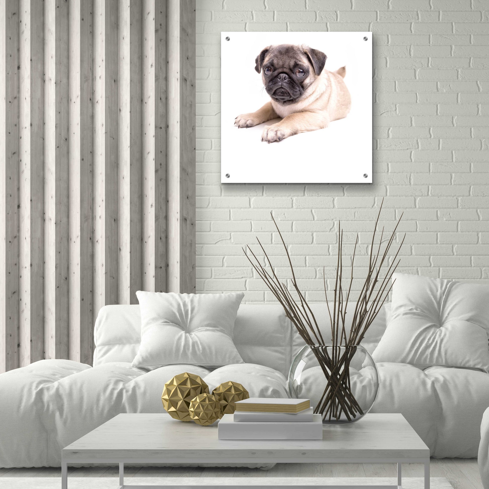 Epic Art 'Cute Pug Puppy' by Edward M. Fielding, Acrylic Glass Wall Art,24x24