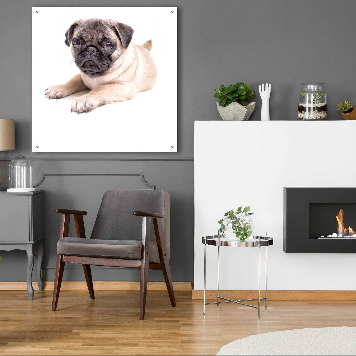 Epic Art 'Cute Pug Puppy' by Edward M. Fielding, Acrylic Glass Wall Art,36x36