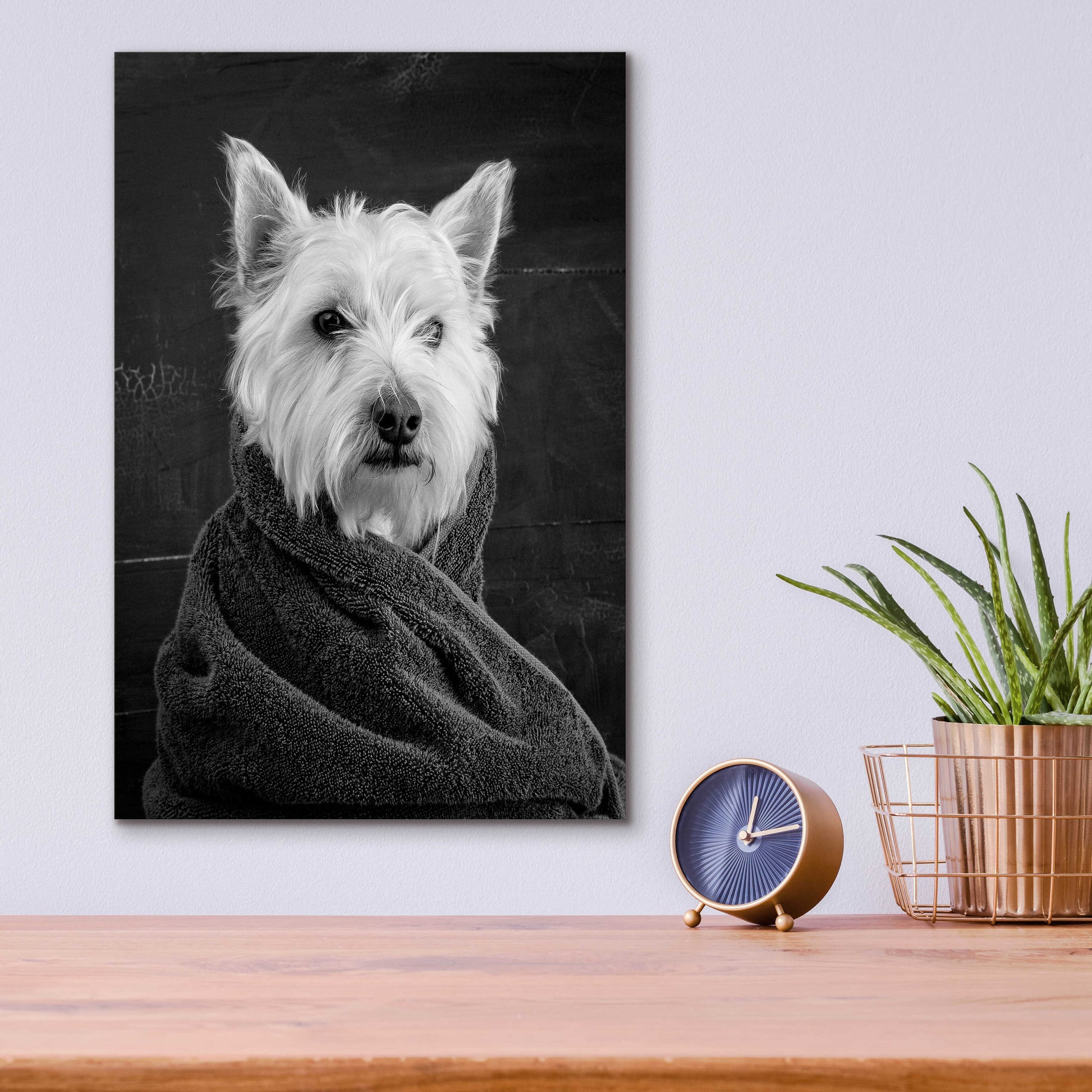 Epic Art 'Portrait of a Westy Dog' by Edward M. Fielding, Acrylic Glass Wall Art,12x16