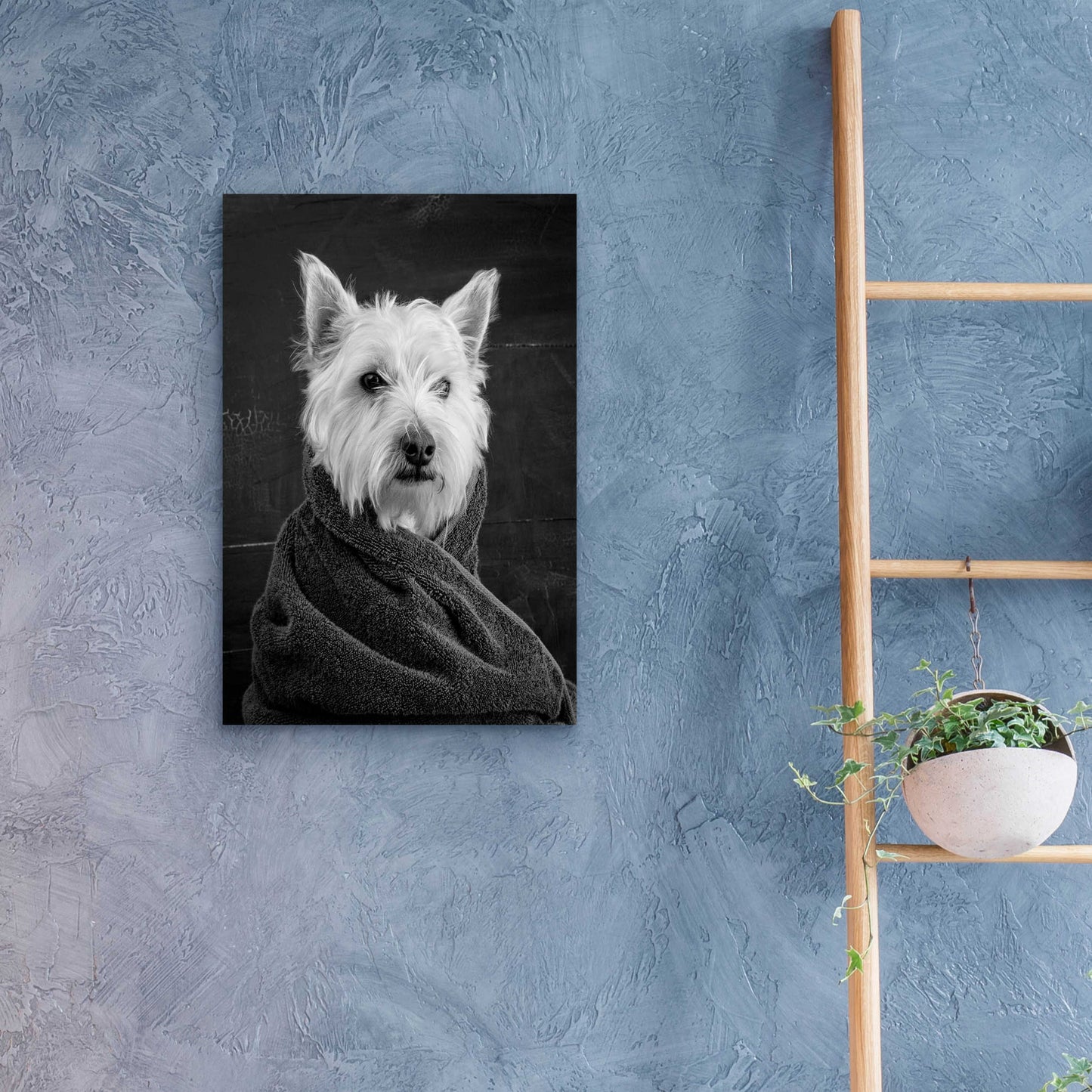 Epic Art 'Portrait of a Westy Dog' by Edward M. Fielding, Acrylic Glass Wall Art,16x24