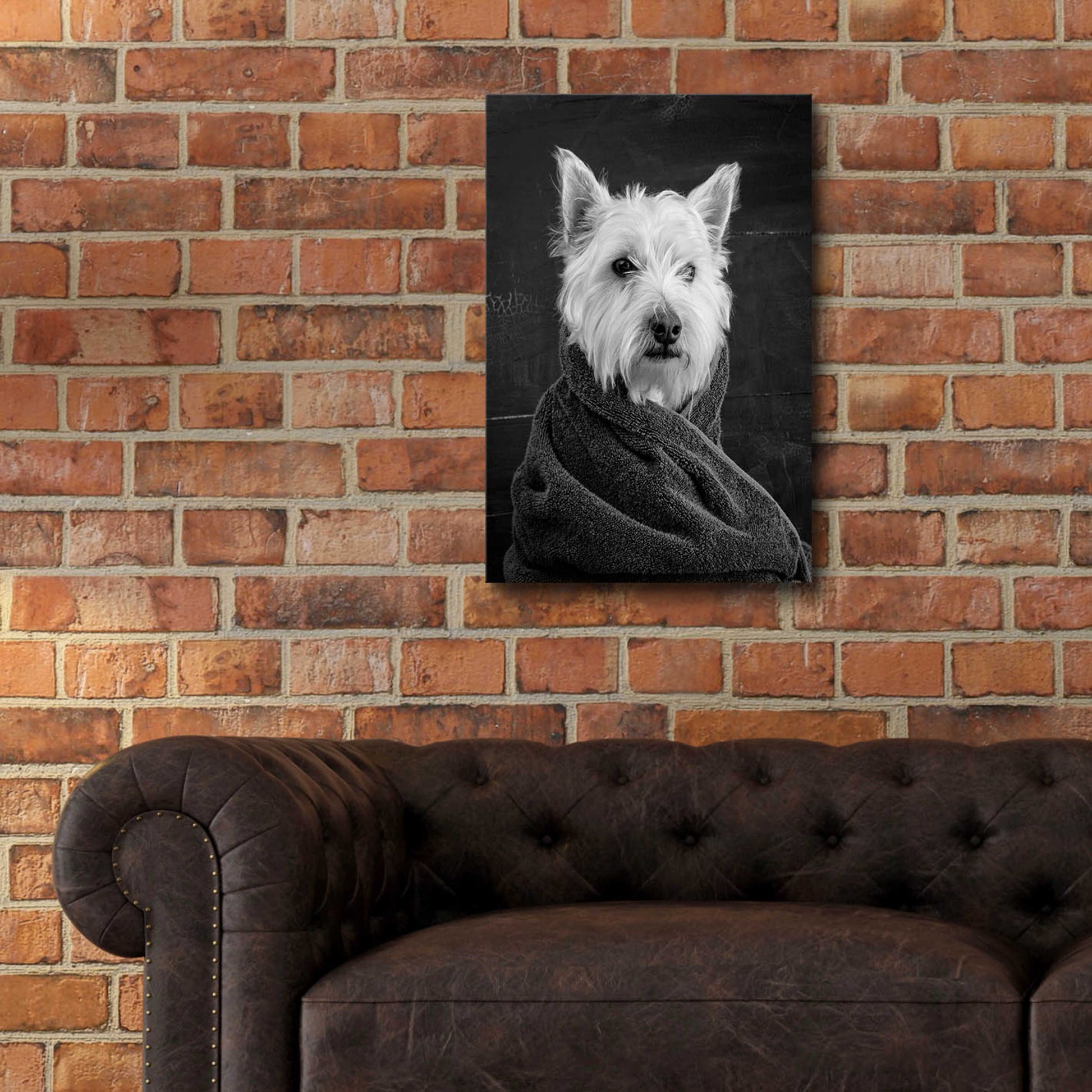 Epic Art 'Portrait of a Westy Dog' by Edward M. Fielding, Acrylic Glass Wall Art,16x24