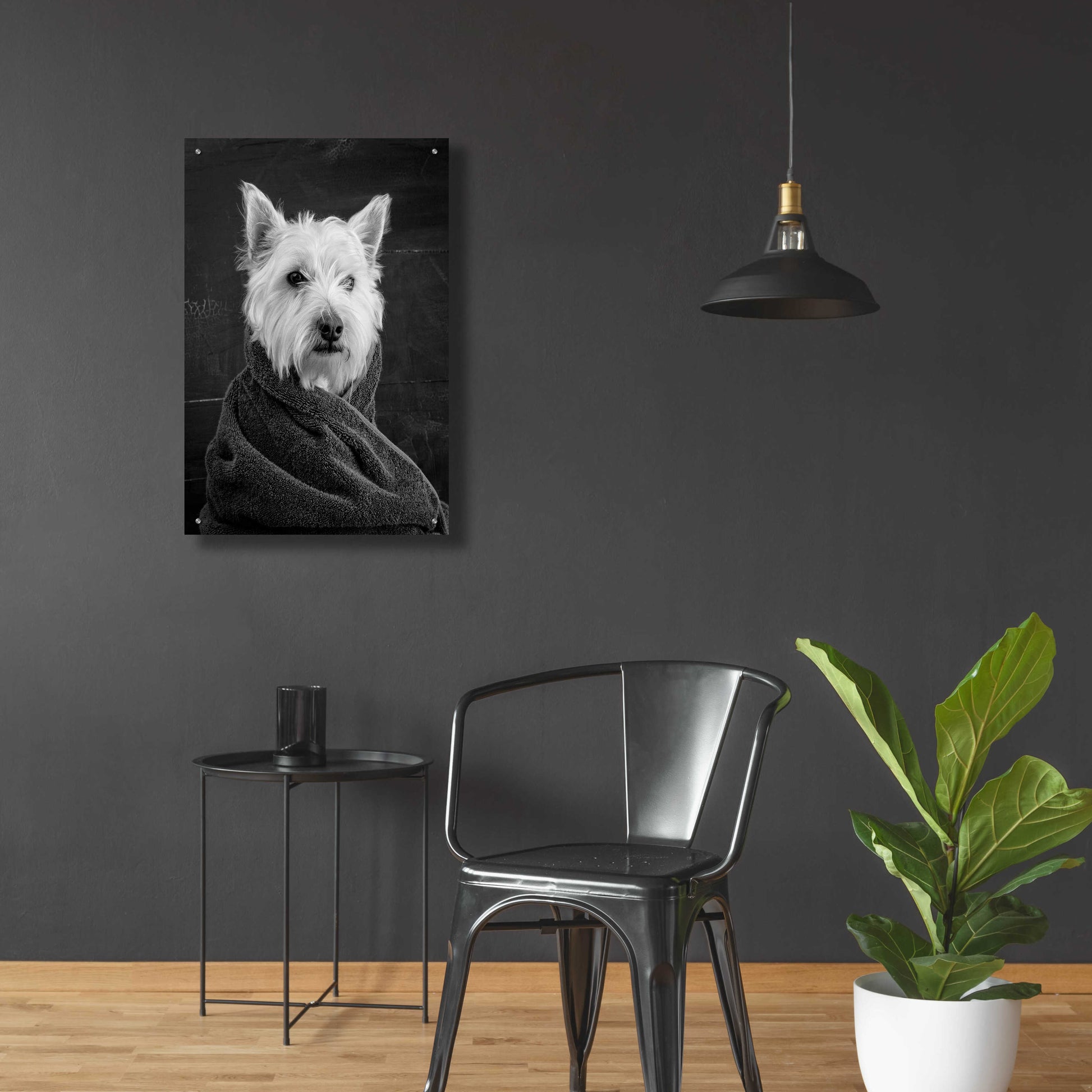 Epic Art 'Portrait of a Westy Dog' by Edward M. Fielding, Acrylic Glass Wall Art,24x36