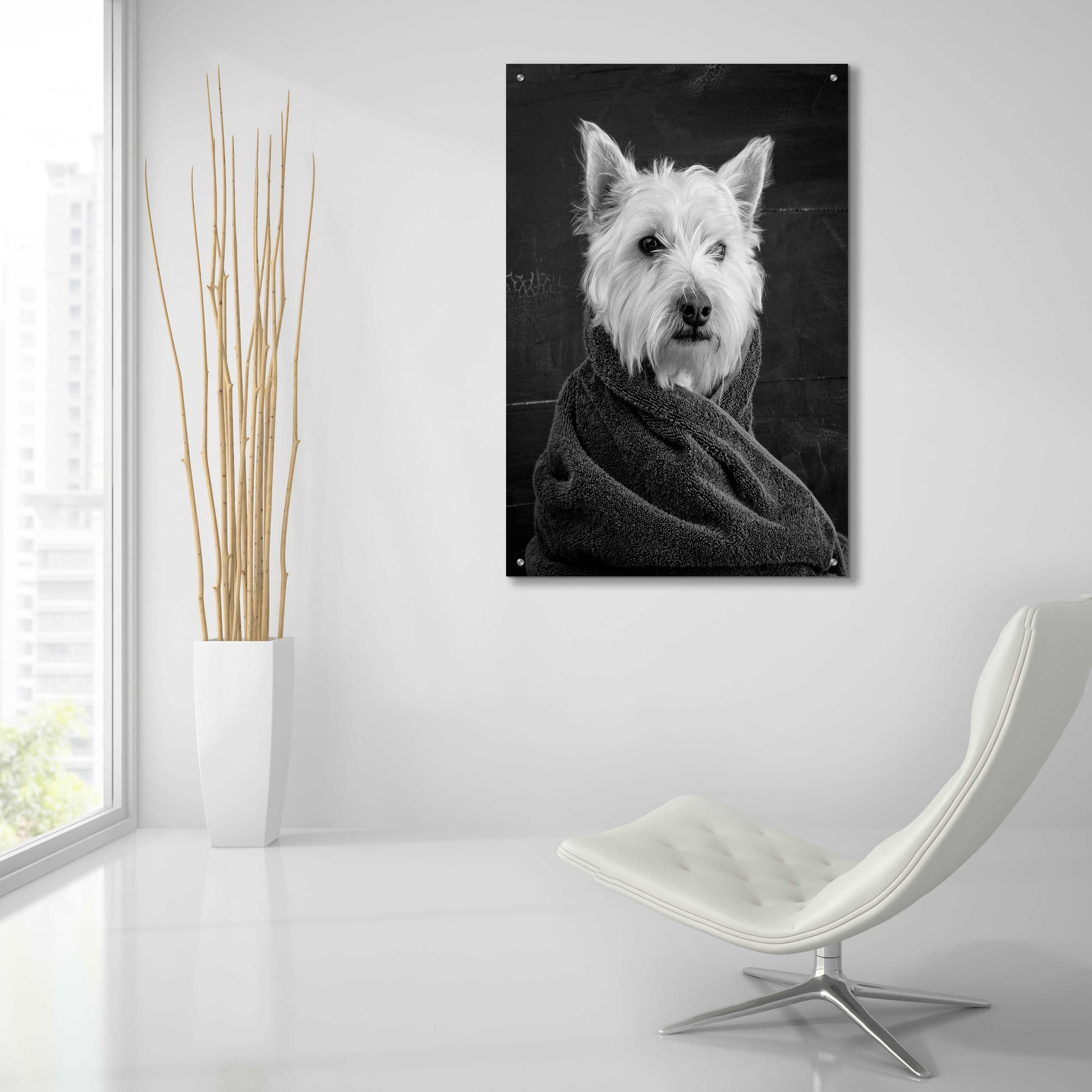 Epic Art 'Portrait of a Westy Dog' by Edward M. Fielding, Acrylic Glass Wall Art,24x36