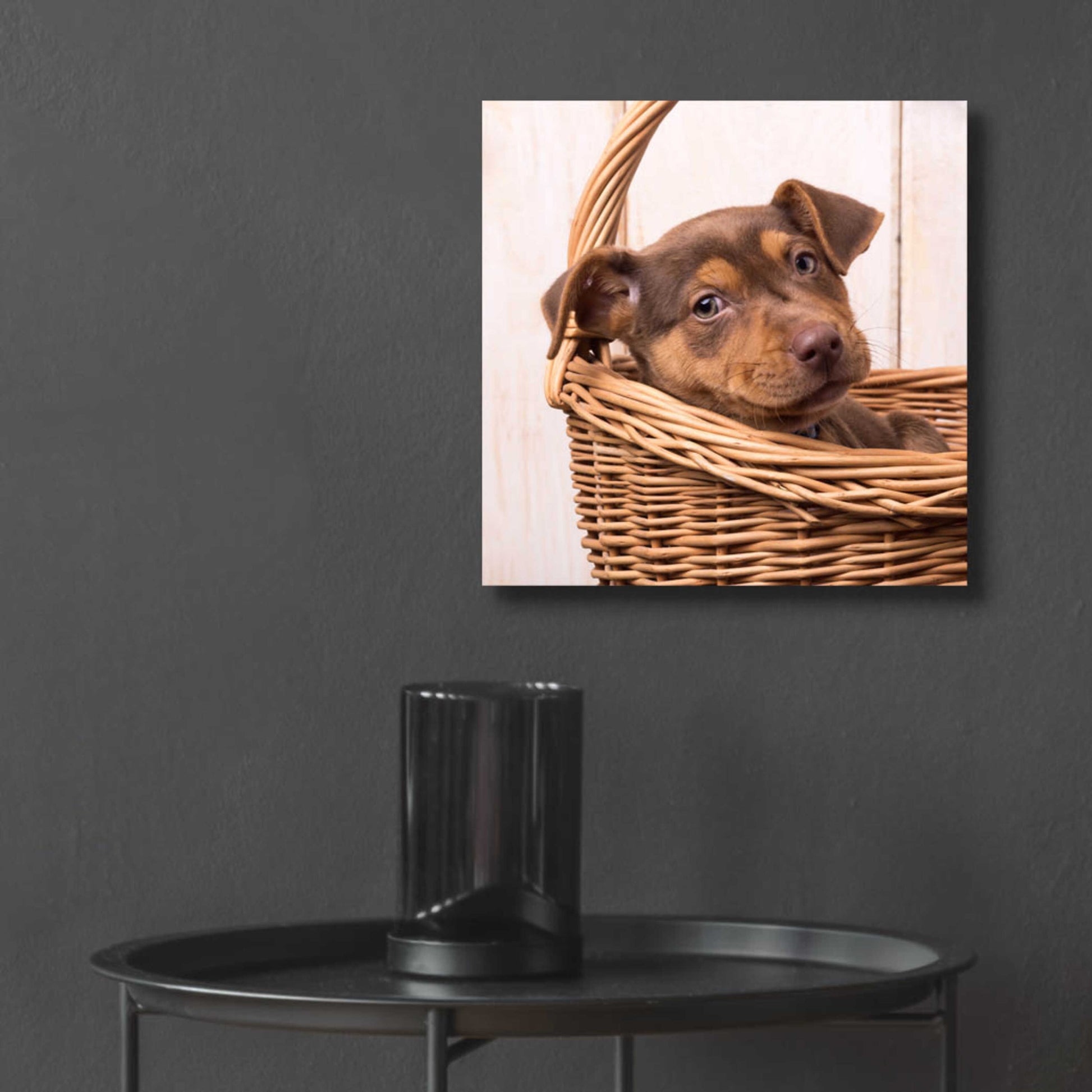 Epic Art 'Puppy in a Basket' by Edward M. Fielding, Acrylic Glass Wall Art,12x12