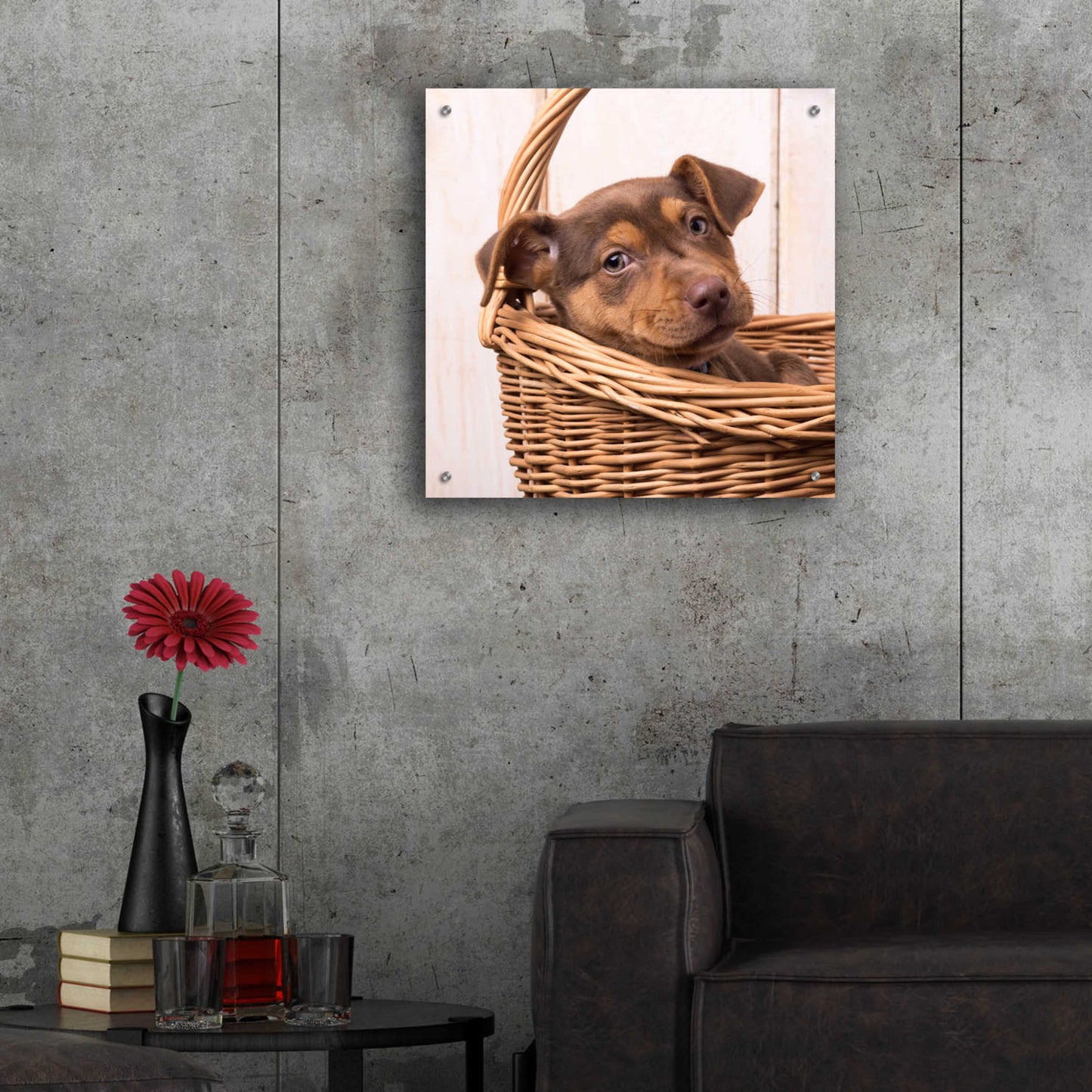 Epic Art 'Puppy in a Basket' by Edward M. Fielding, Acrylic Glass Wall Art,24x24