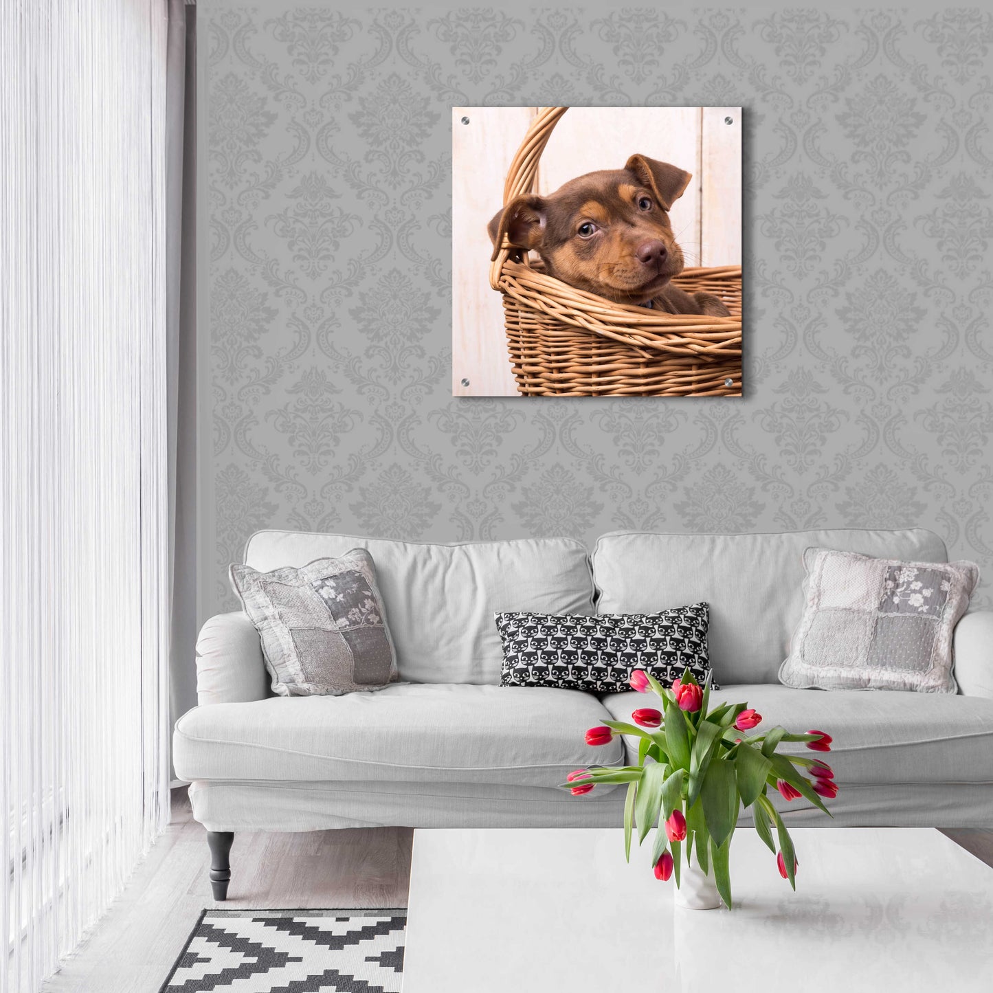 Epic Art 'Puppy in a Basket' by Edward M. Fielding, Acrylic Glass Wall Art,24x24