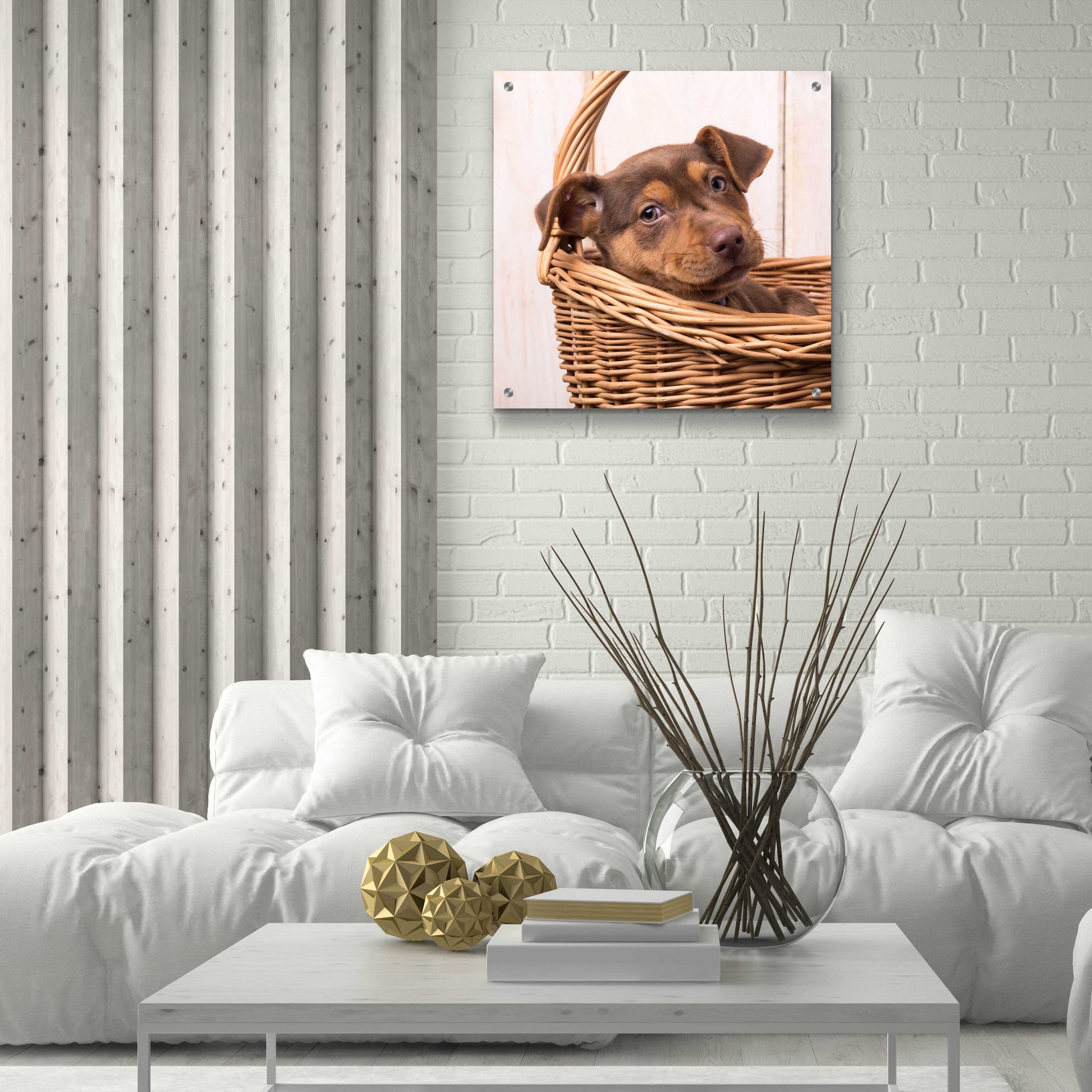 Epic Art 'Puppy in a Basket' by Edward M. Fielding, Acrylic Glass Wall Art,24x24