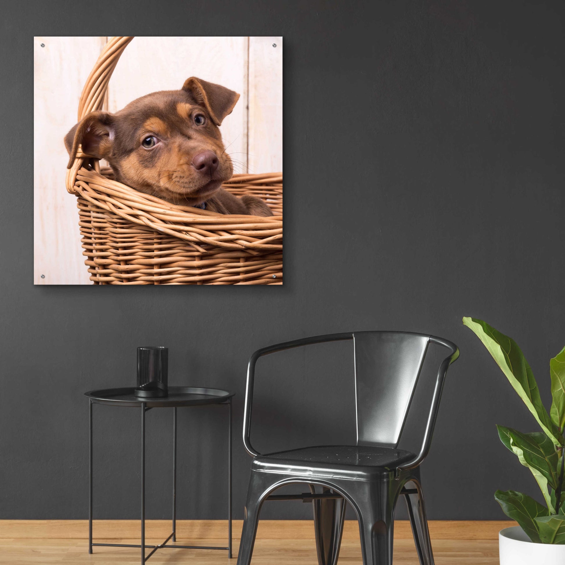 Epic Art 'Puppy in a Basket' by Edward M. Fielding, Acrylic Glass Wall Art,36x36