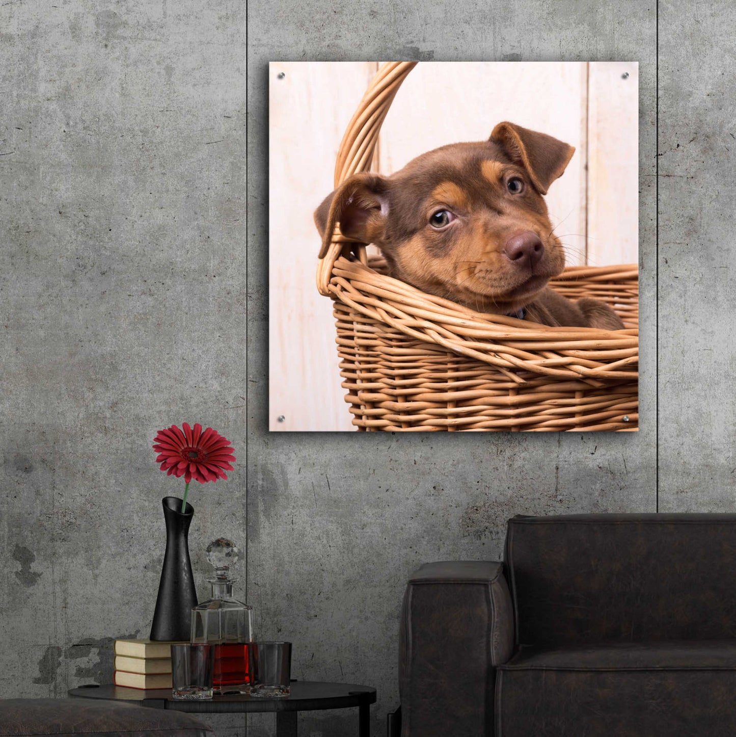 Epic Art 'Puppy in a Basket' by Edward M. Fielding, Acrylic Glass Wall Art,36x36