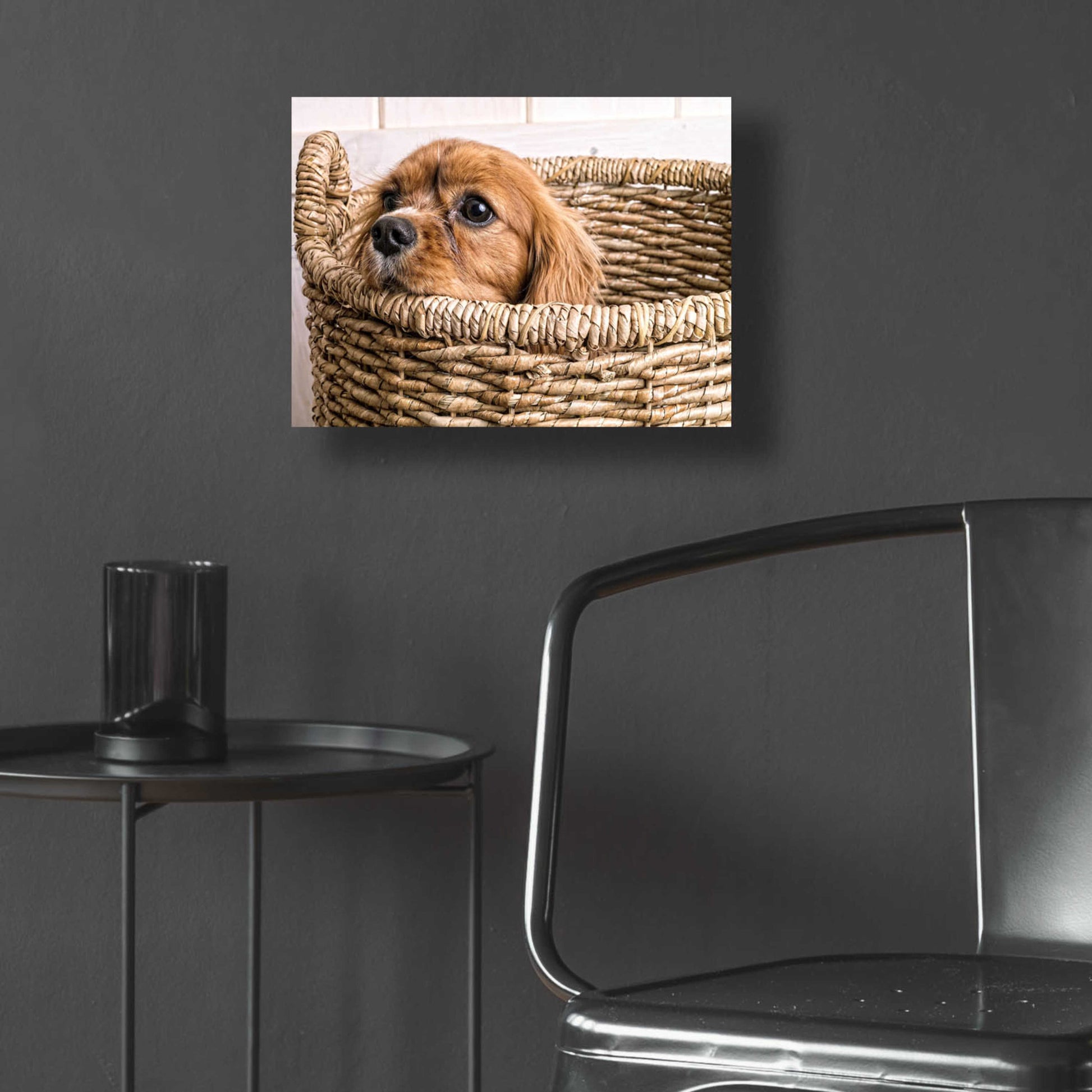 Epic Art 'Puppy in a Laundry Basket' by Edward M. Fielding, Acrylic Glass Wall Art,16x12