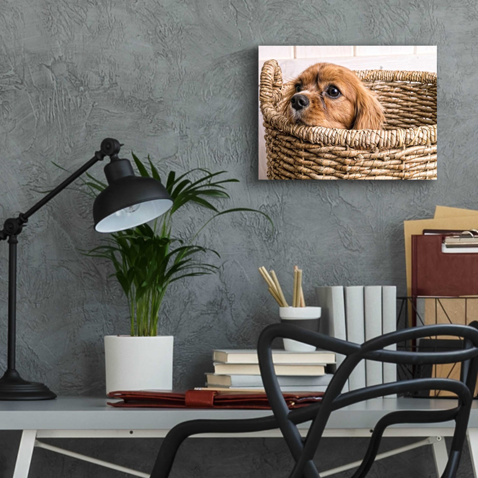 Epic Art 'Puppy in a Laundry Basket' by Edward M. Fielding, Acrylic Glass Wall Art,16x12