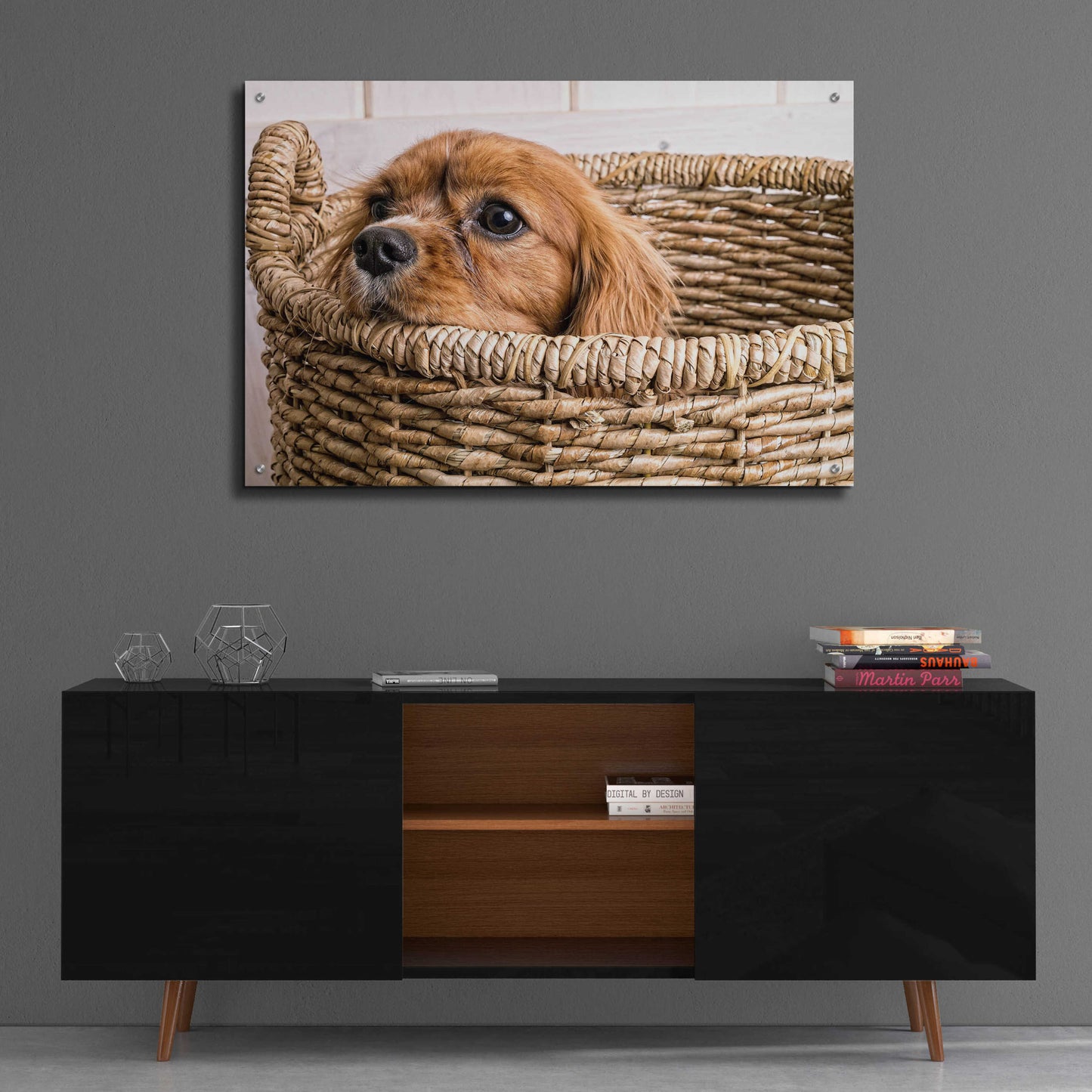 Epic Art 'Puppy in a Laundry Basket' by Edward M. Fielding, Acrylic Glass Wall Art,36x24