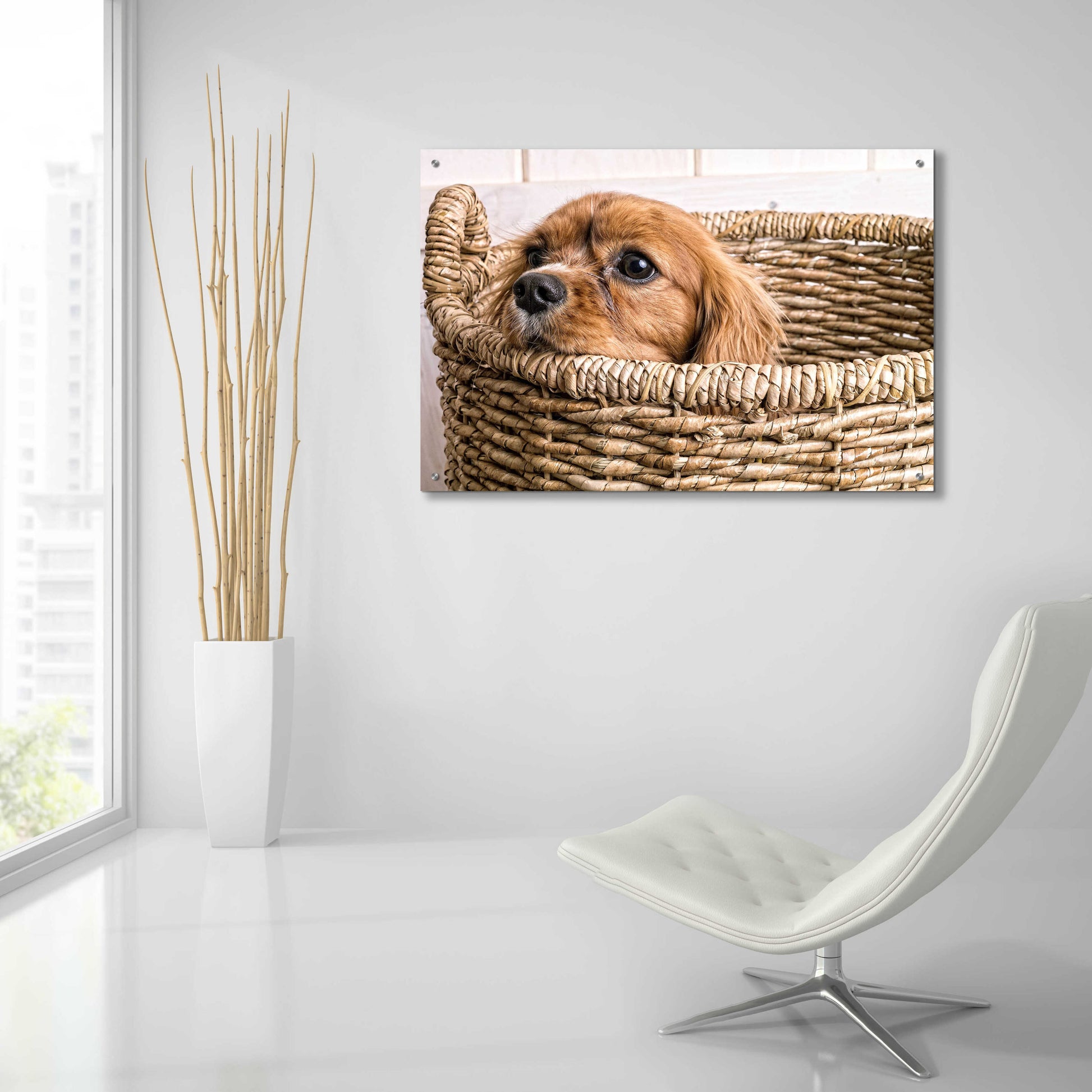 Epic Art 'Puppy in a Laundry Basket' by Edward M. Fielding, Acrylic Glass Wall Art,36x24