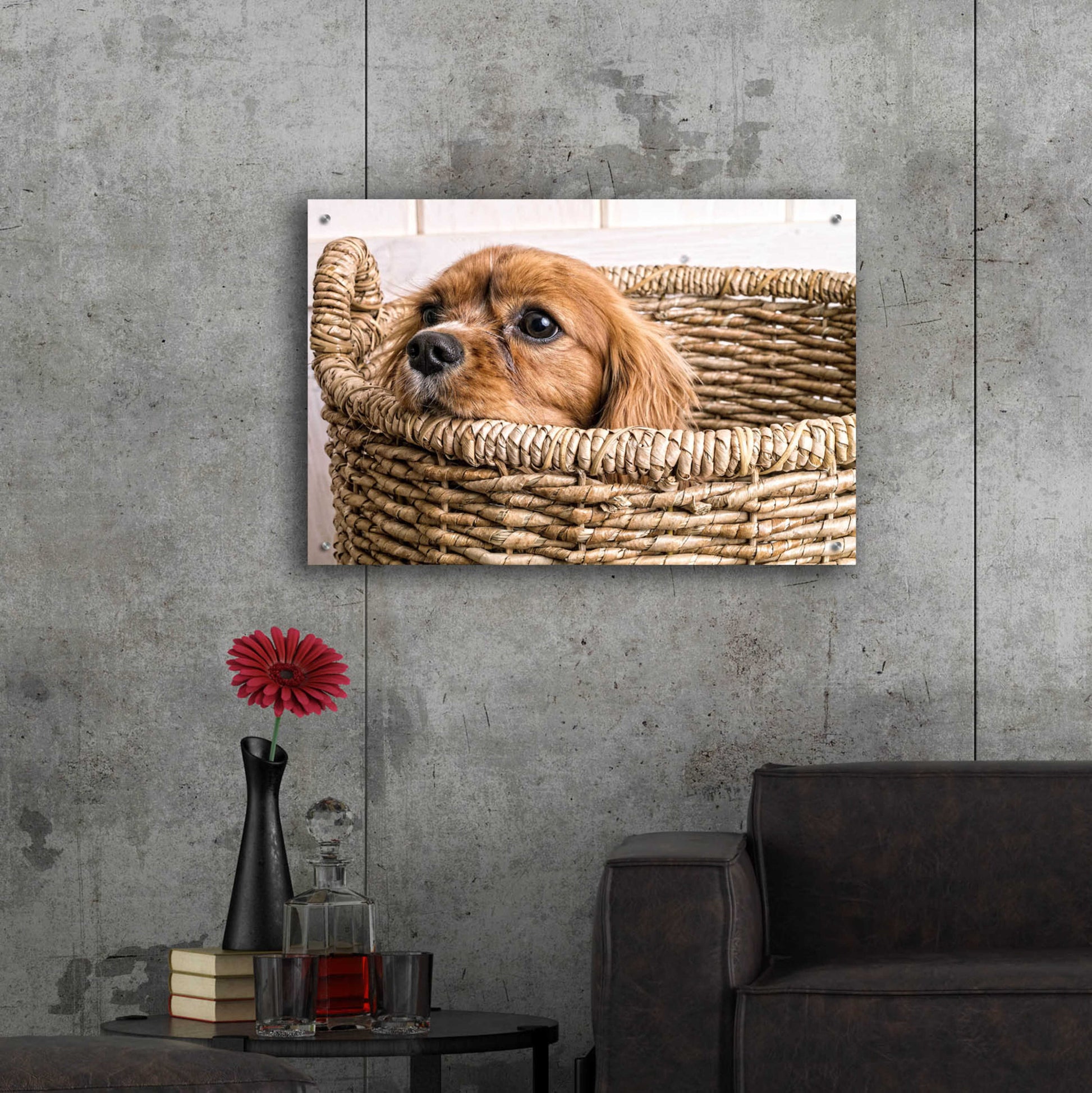 Epic Art 'Puppy in a Laundry Basket' by Edward M. Fielding, Acrylic Glass Wall Art,36x24