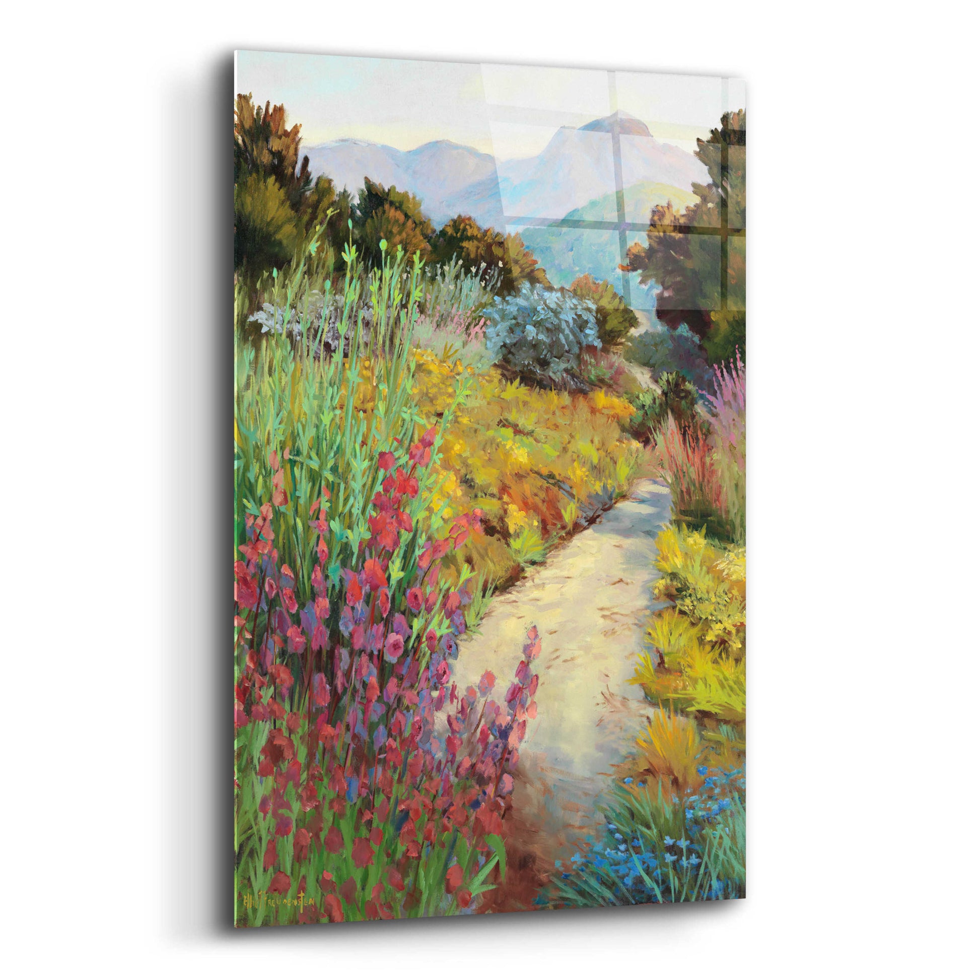 Epic Art 'Garden Path' by Ellie Freudenstein, Acrylic Glass Wall Art,12x16