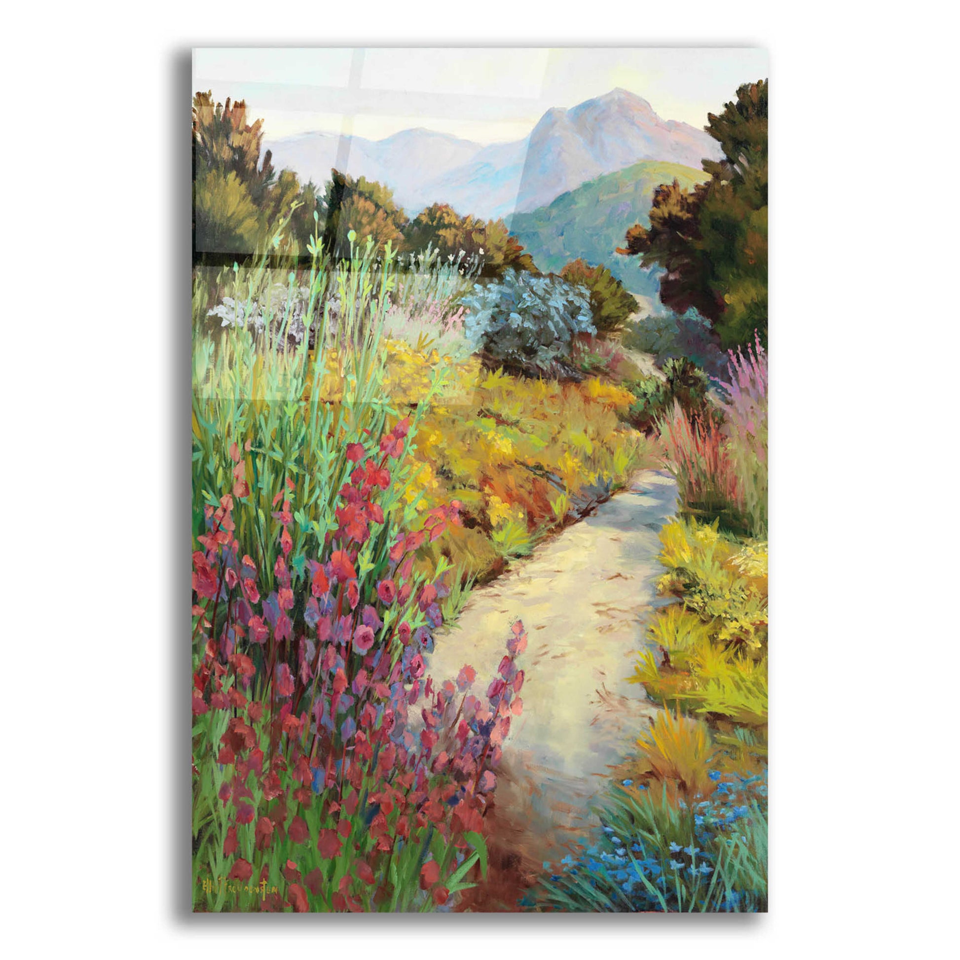 Epic Art 'Garden Path' by Ellie Freudenstein, Acrylic Glass Wall Art,16x24