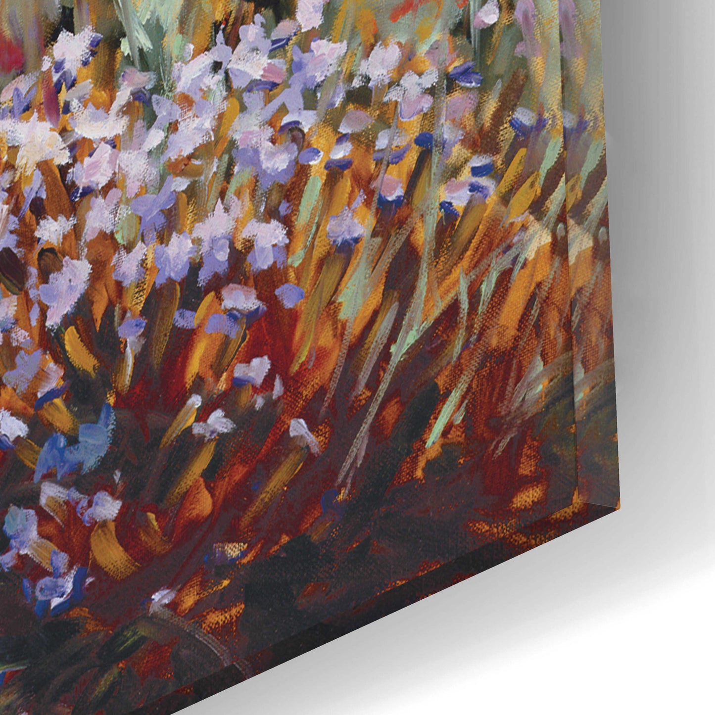 Epic Art 'Morning Bloom' by Ellie Freudenstein, Acrylic Glass Wall Art,16x12