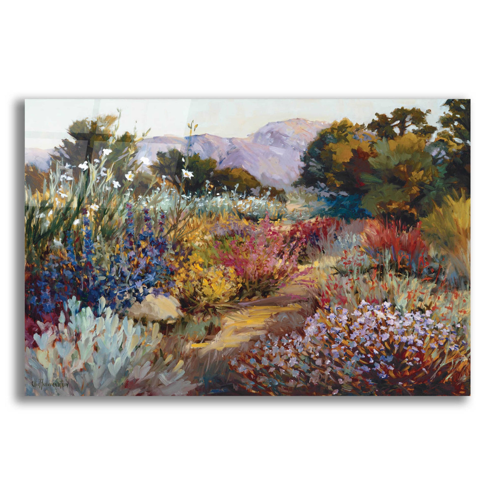 Epic Art 'Morning Bloom' by Ellie Freudenstein, Acrylic Glass Wall Art,16x12