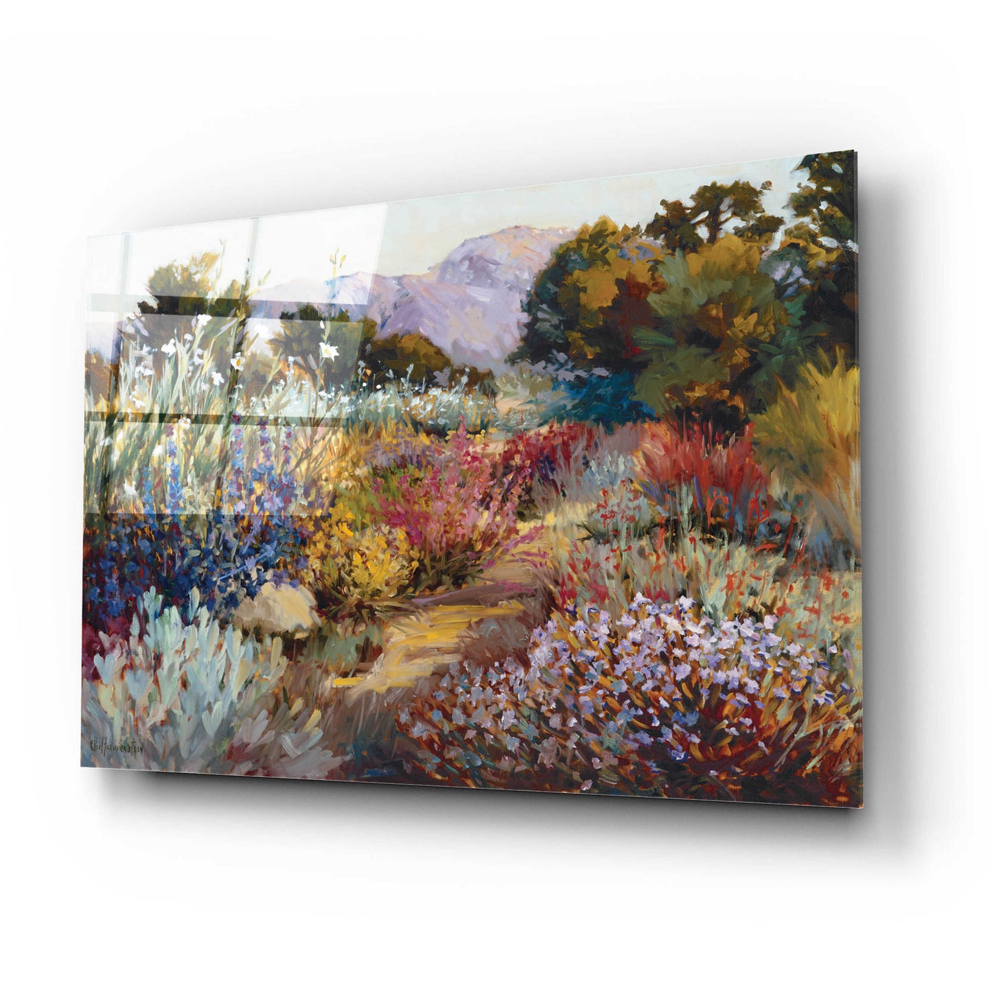 Epic Art 'Morning Bloom' by Ellie Freudenstein, Acrylic Glass Wall Art,24x16