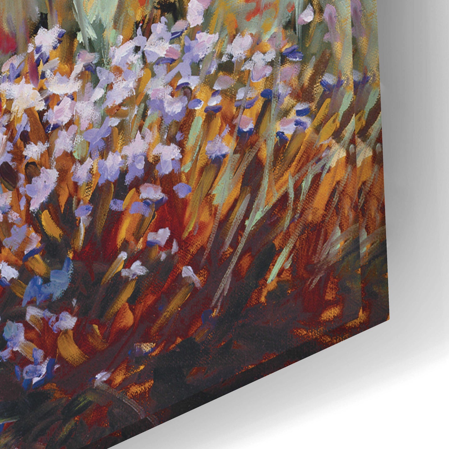 Epic Art 'Morning Bloom' by Ellie Freudenstein, Acrylic Glass Wall Art,24x16