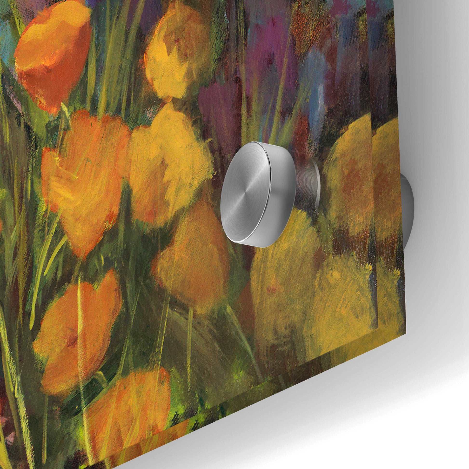 Epic Art 'Spring Days' by Ellie Freudenstein, Acrylic Glass Wall Art,24x36