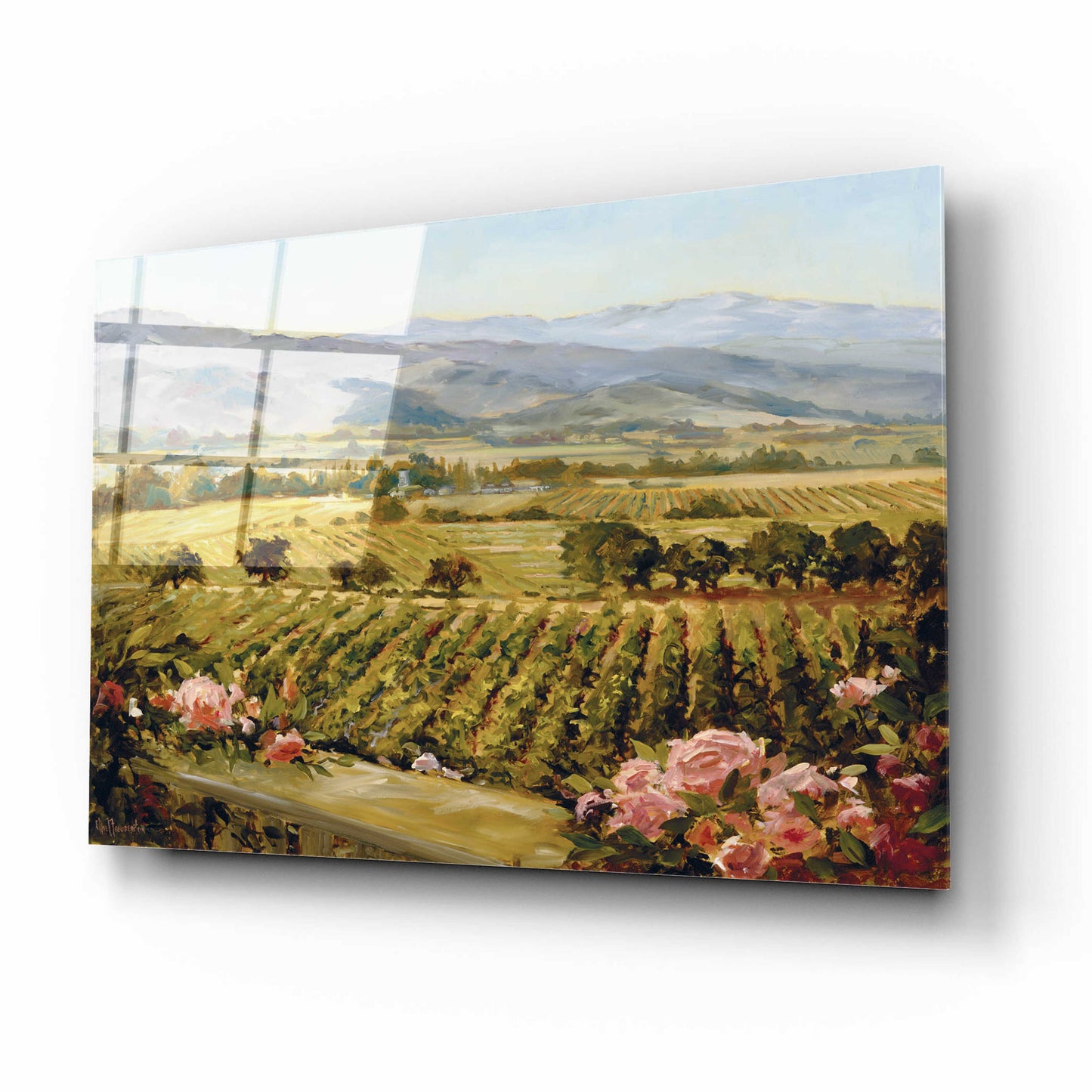 Epic Art 'Vineyards to Vaca Mountains' by Ellie Freudenstein, Acrylic Glass Wall Art,16x12