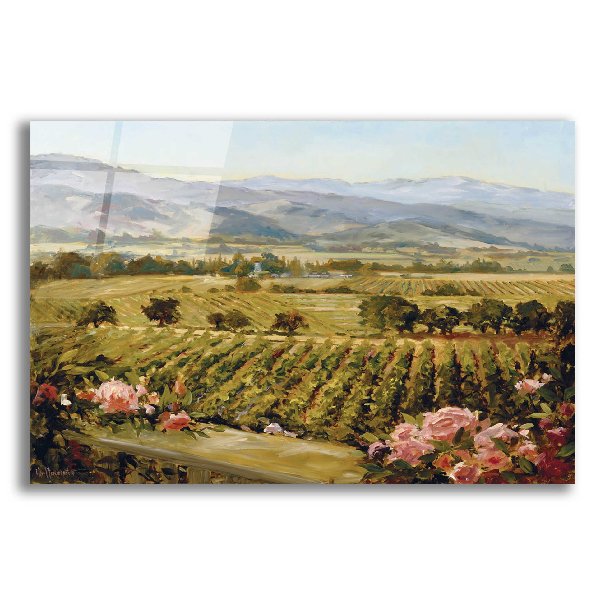 Epic Art 'Vineyards to Vaca Mountains' by Ellie Freudenstein, Acrylic Glass Wall Art,16x12