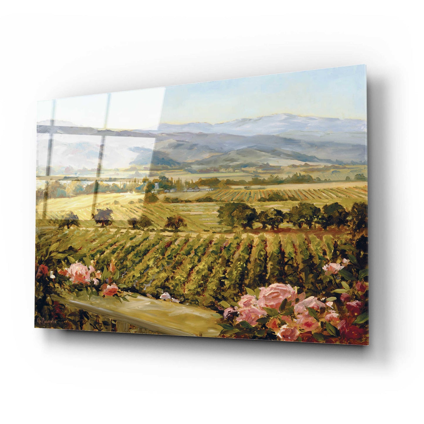 Epic Art 'Vineyards to Vaca Mountains' by Ellie Freudenstein, Acrylic Glass Wall Art,24x16