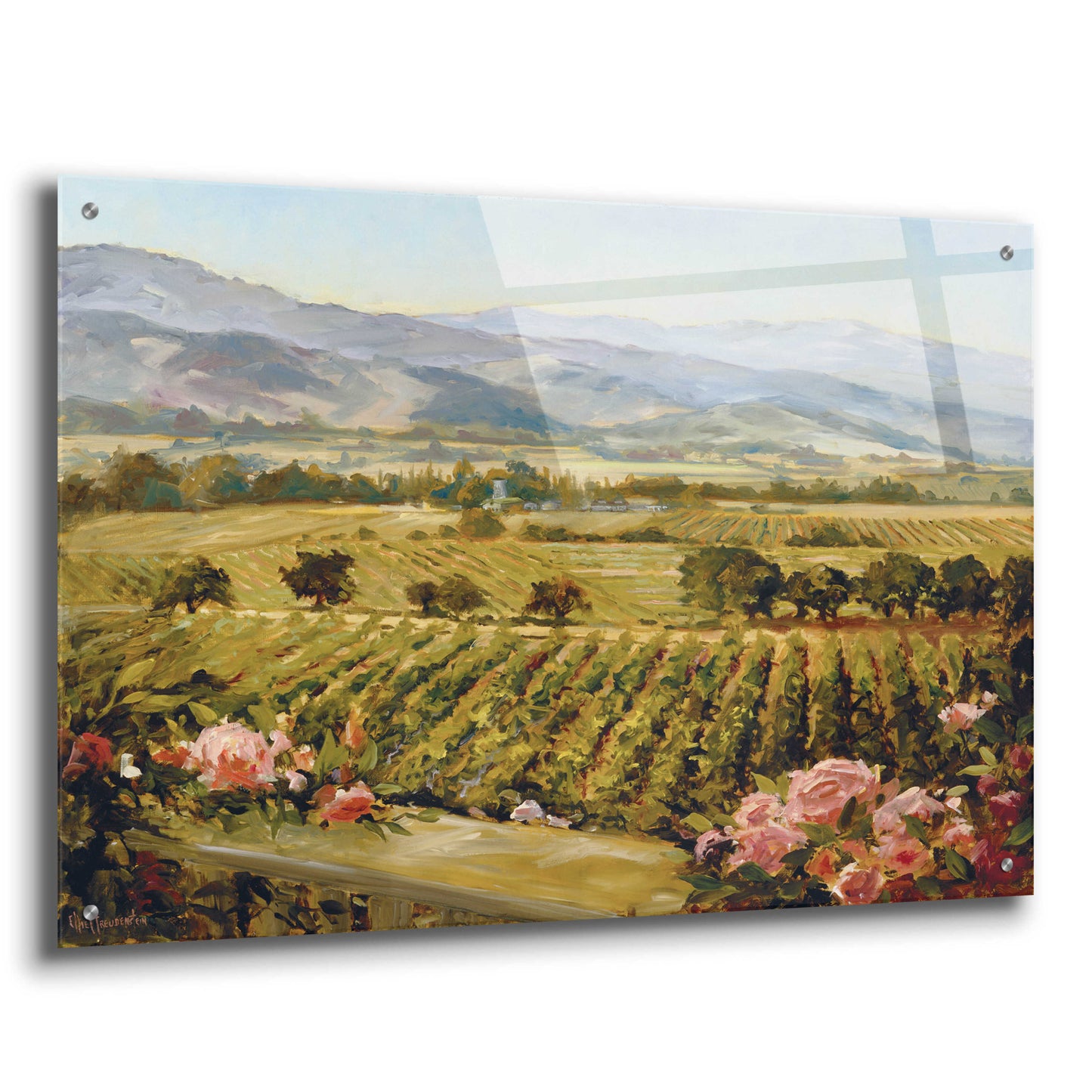 Epic Art 'Vineyards to Vaca Mountains' by Ellie Freudenstein, Acrylic Glass Wall Art,36x24