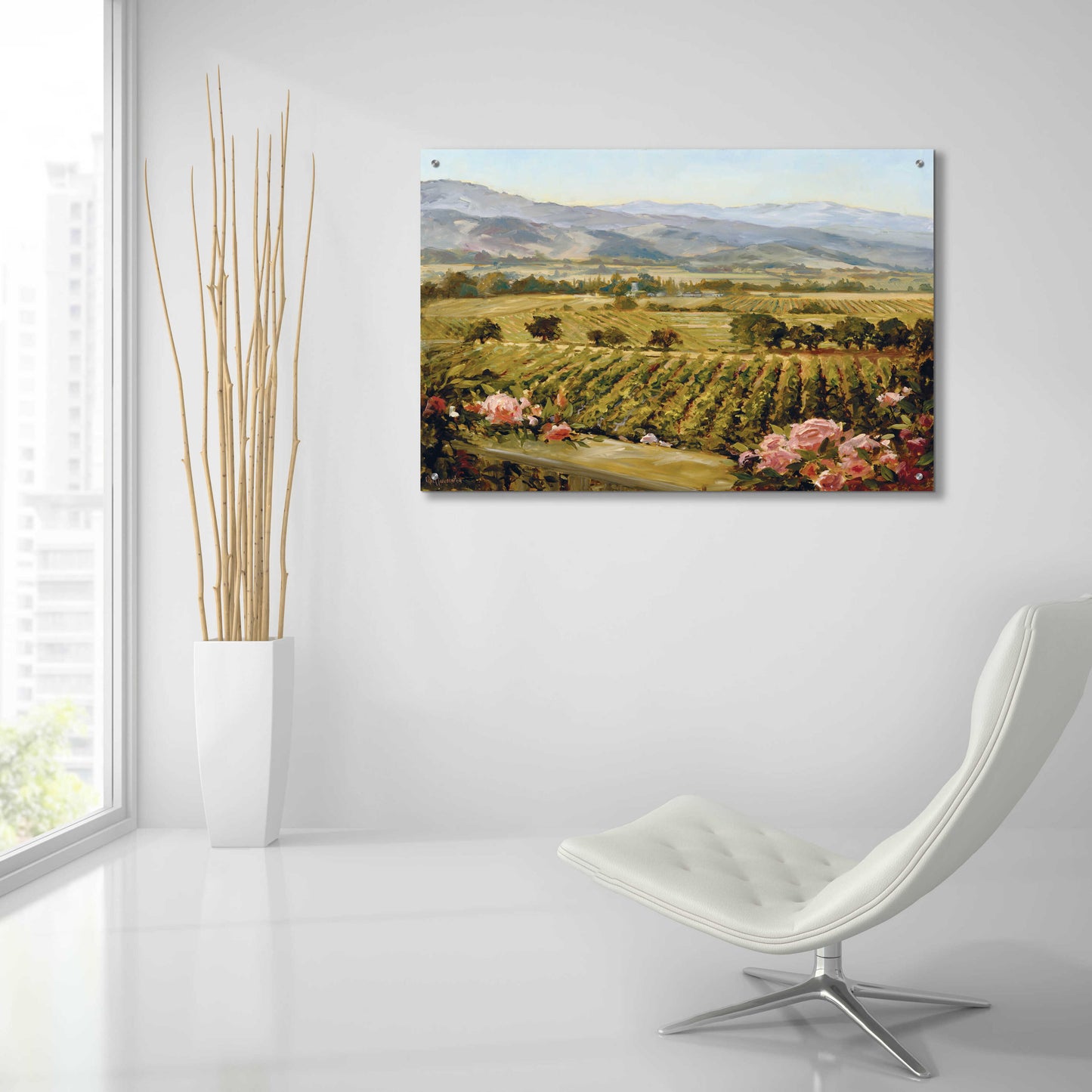 Epic Art 'Vineyards to Vaca Mountains' by Ellie Freudenstein, Acrylic Glass Wall Art,36x24