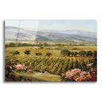Epic Art 'Vineyards to Vaca Mountains' by Ellie Freudenstein, Acrylic Glass Wall Art
