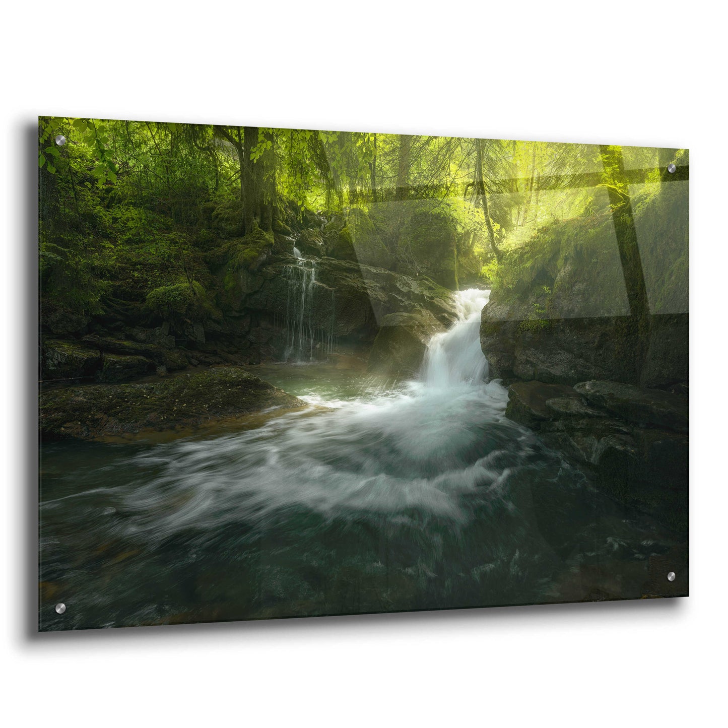 Epic Art 'Stream of Life' by Enrico Fossati, Acrylic Glass Wall Art,36x24