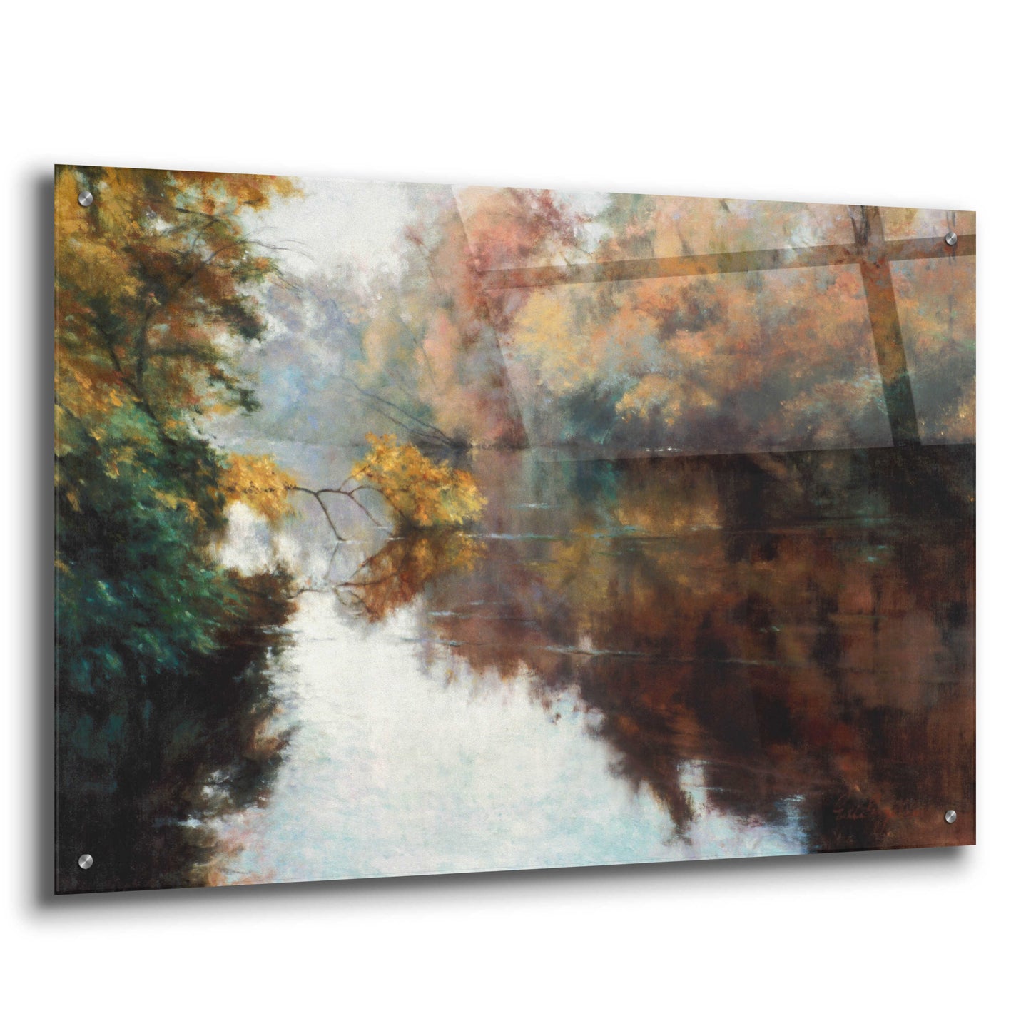 Epic Art 'Branch on the Charles' by Esther Engelman, Acrylic Glass Wall Art,36x24