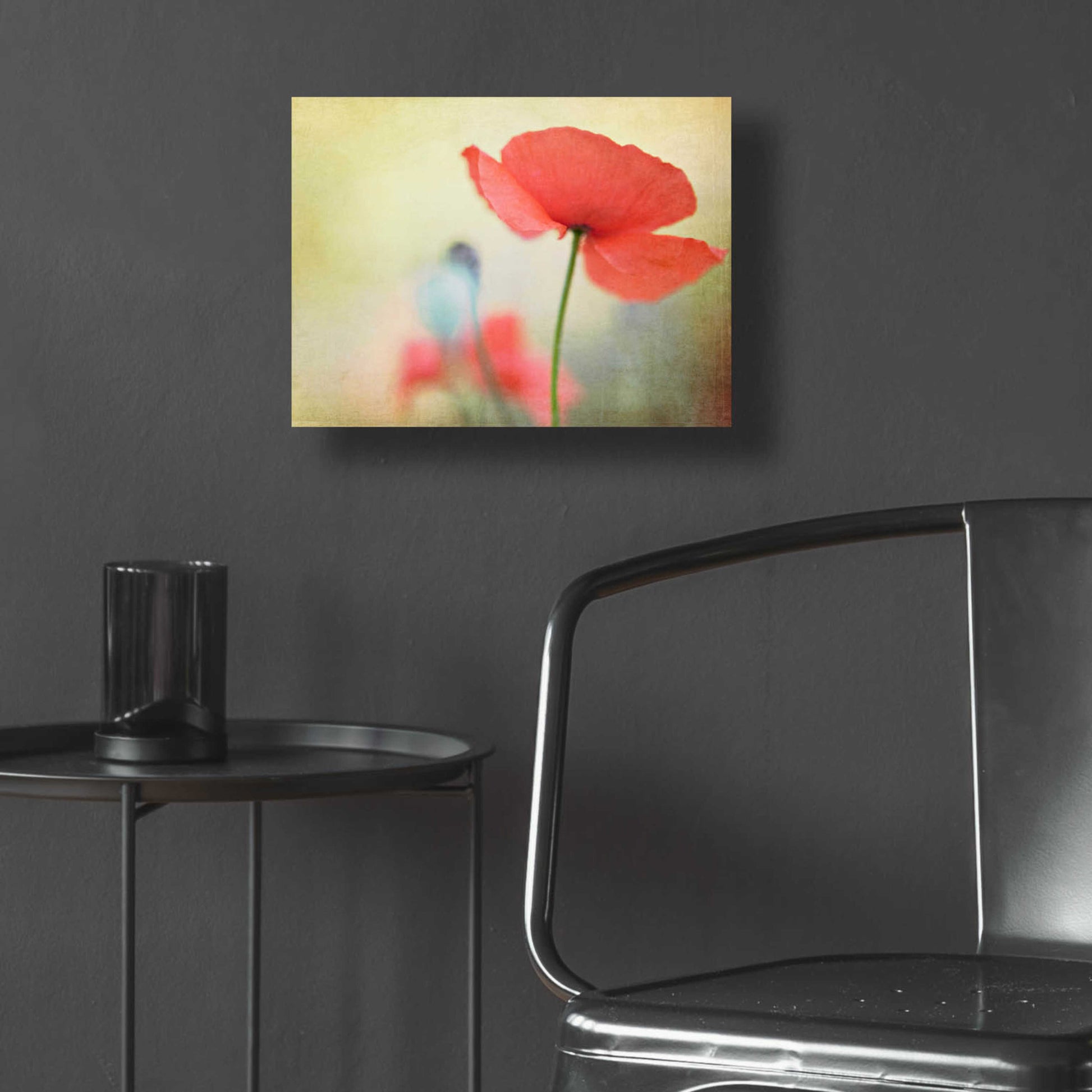 Epic Art 'Poppy' by Kim Fearheiley, Acrylic Glass Wall Art,16x12