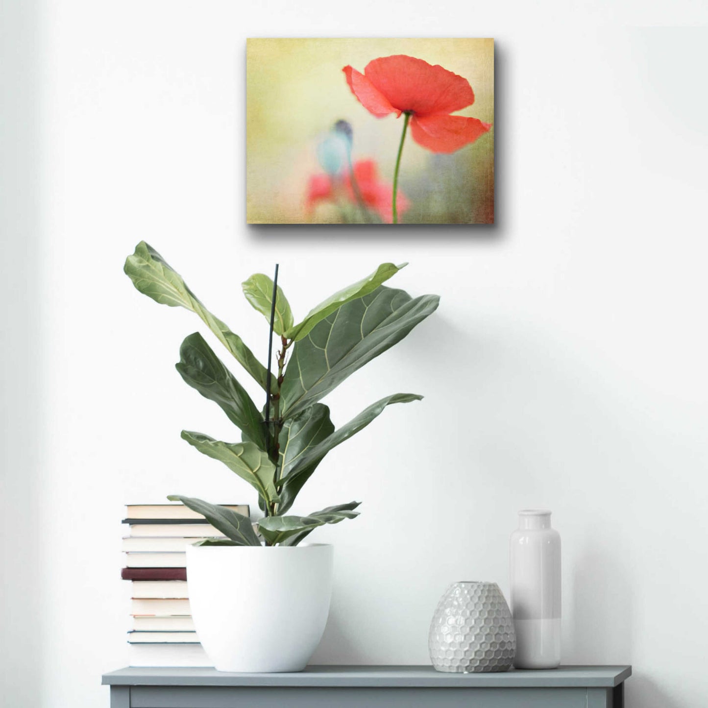 Epic Art 'Poppy' by Kim Fearheiley, Acrylic Glass Wall Art,16x12