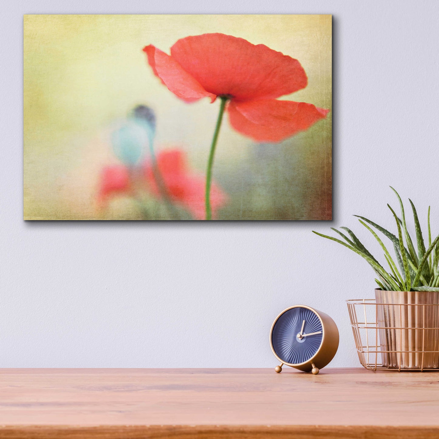 Epic Art 'Poppy' by Kim Fearheiley, Acrylic Glass Wall Art,16x12