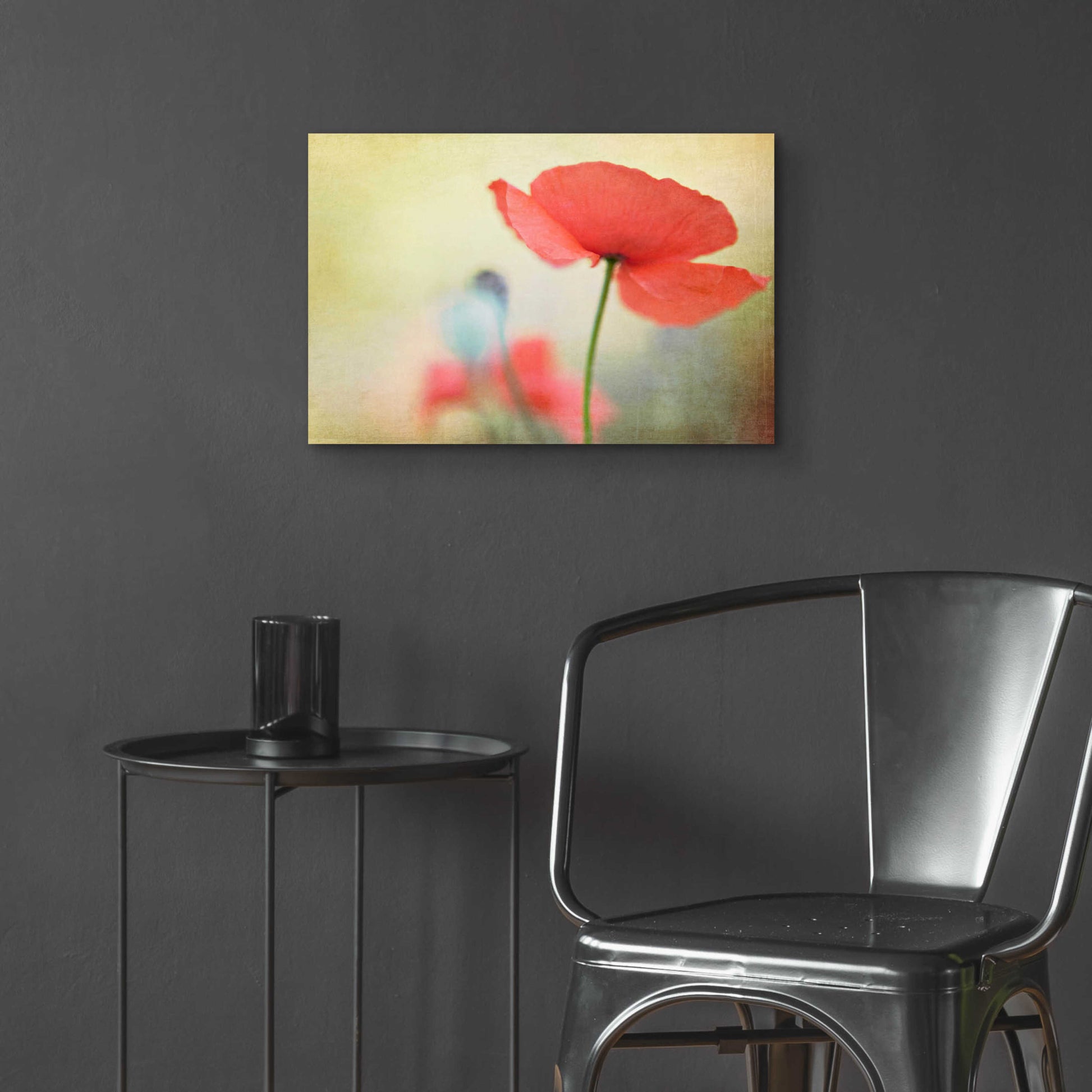 Epic Art 'Poppy' by Kim Fearheiley, Acrylic Glass Wall Art,24x16